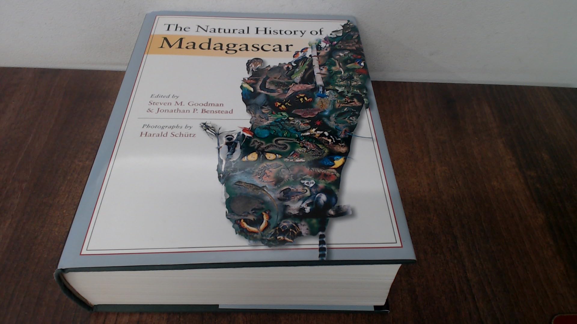 The Natural History of Madagascar Mathematics
