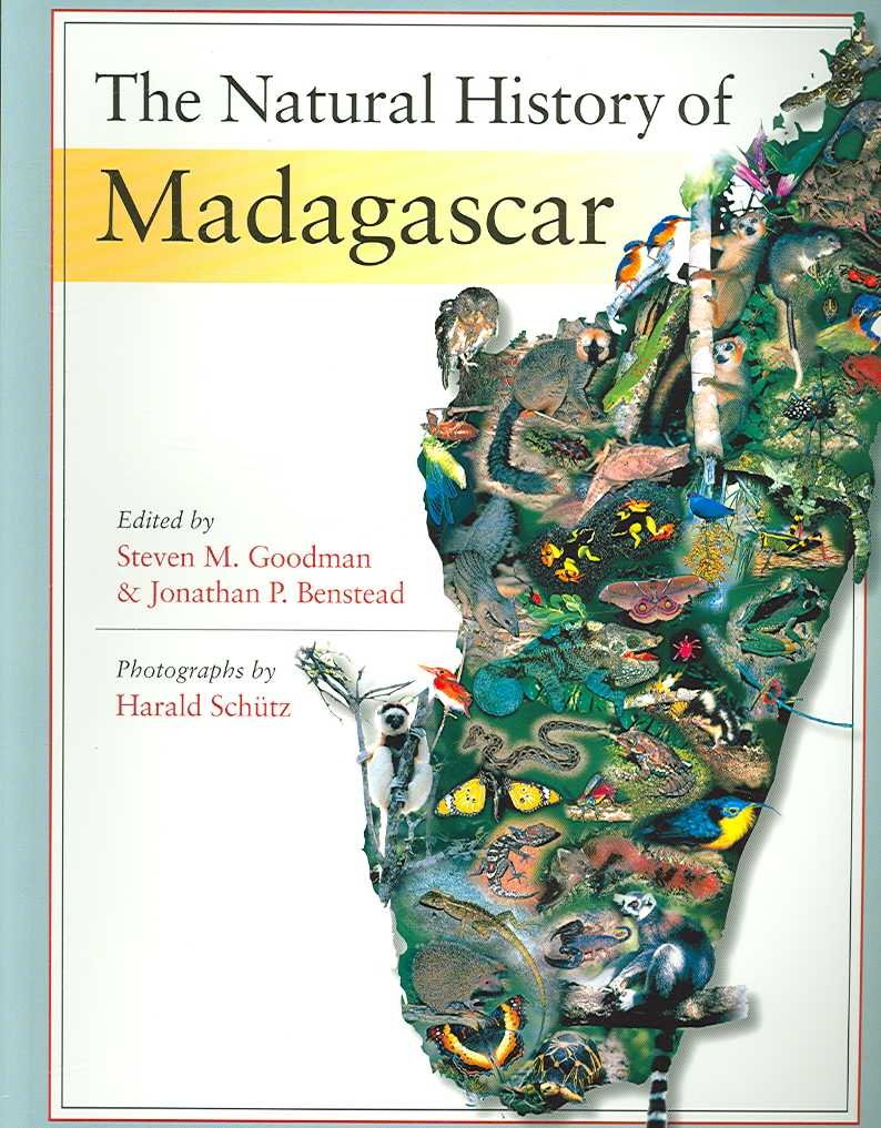 The Natural History of Madagascar Mathematics