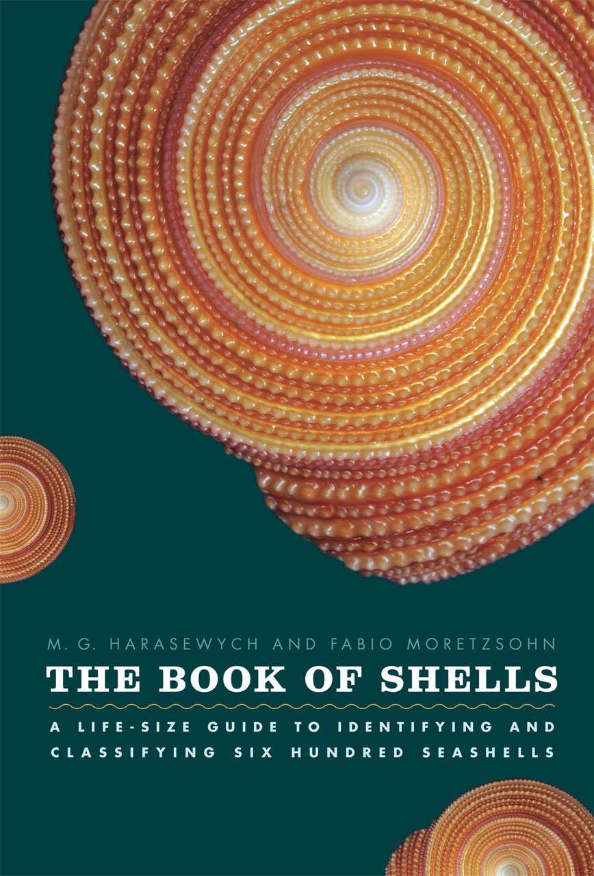 The Book of Shells: A Life-Size Guide to Identifying and Classifying Six Hundred Seashells Mathematics