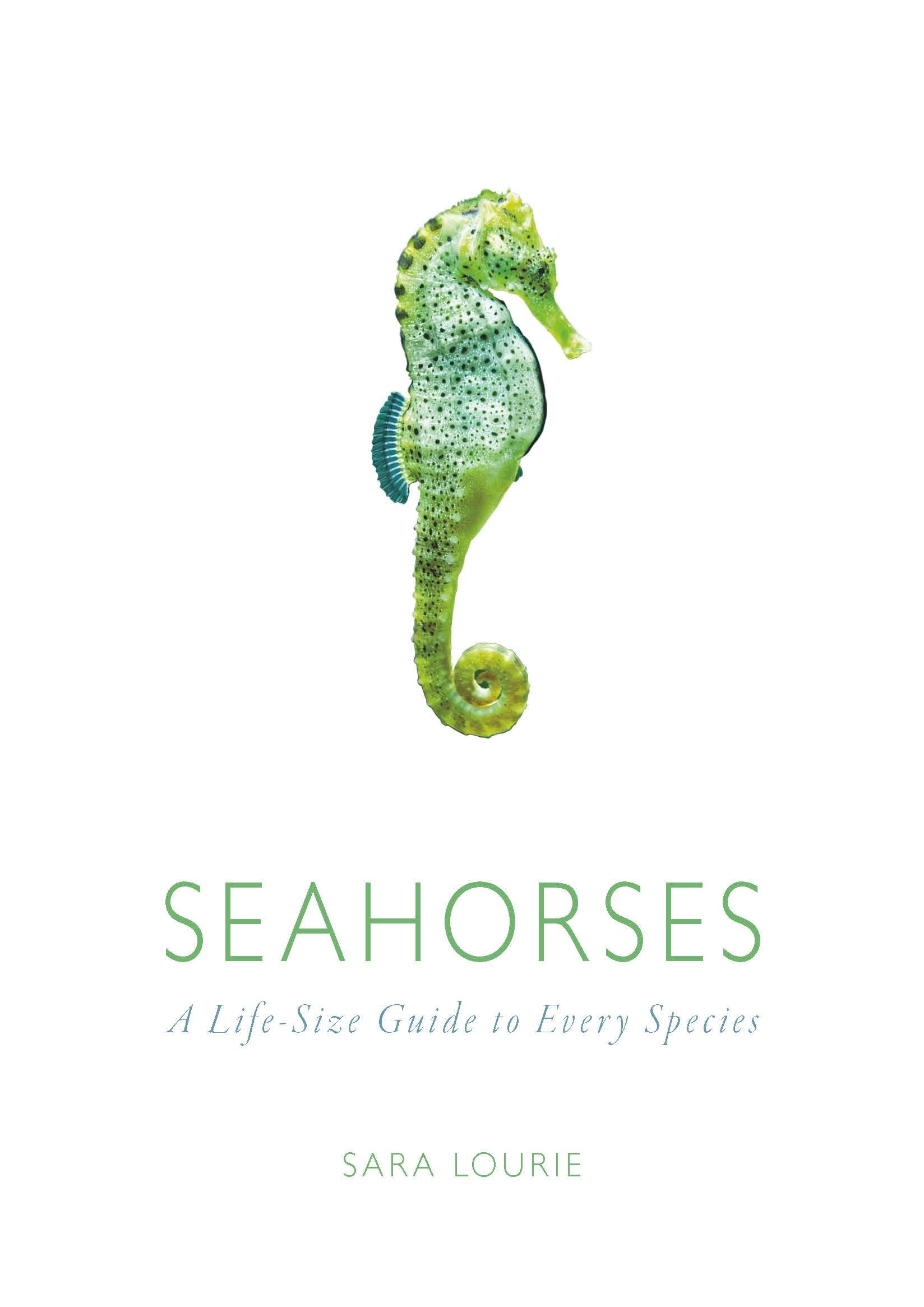 Seahorses: A Life-size Guide to Every Species book
