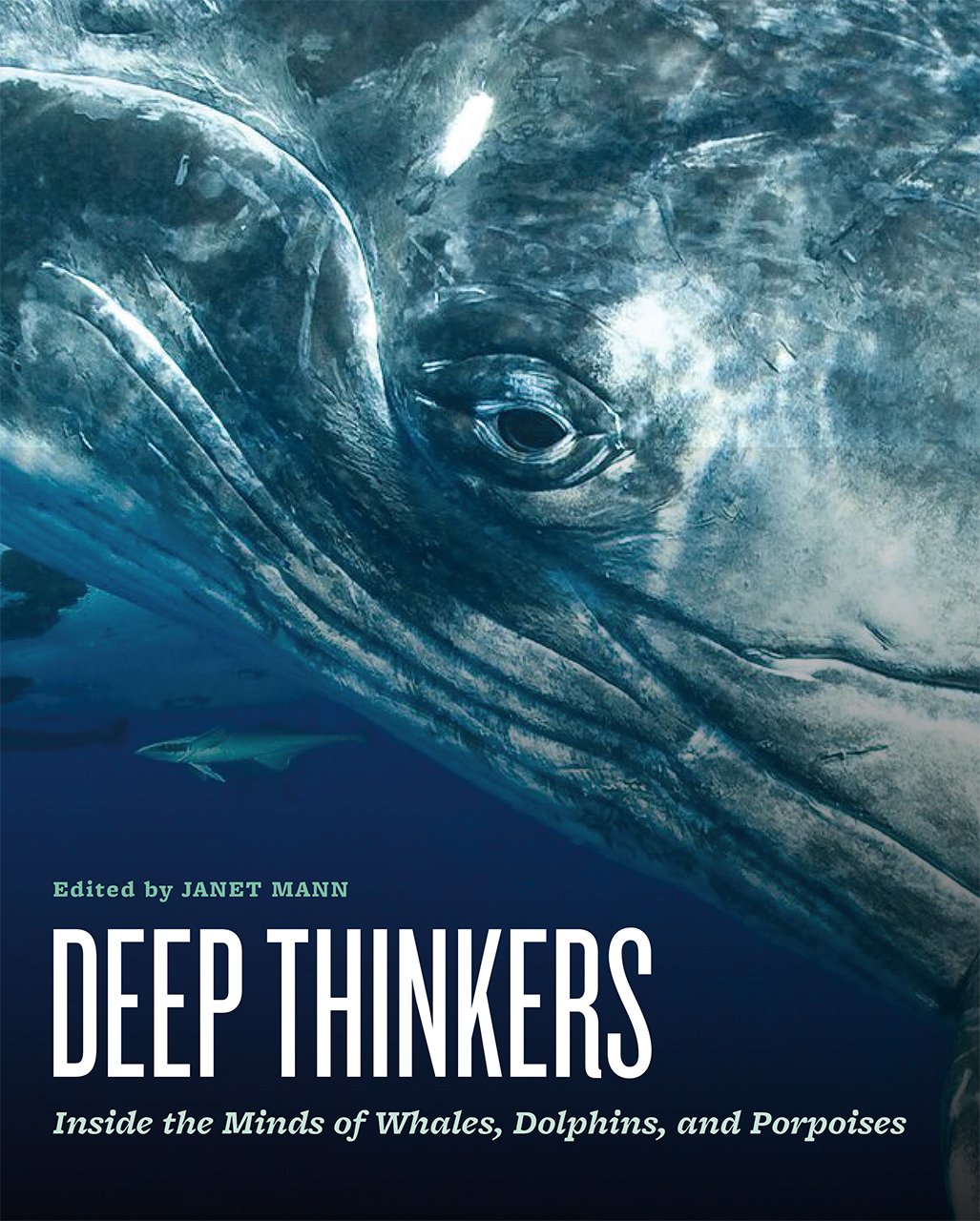 Deep Thinkers: Inside the Minds of Whales, Dolphins, and Porpoises Mathematics