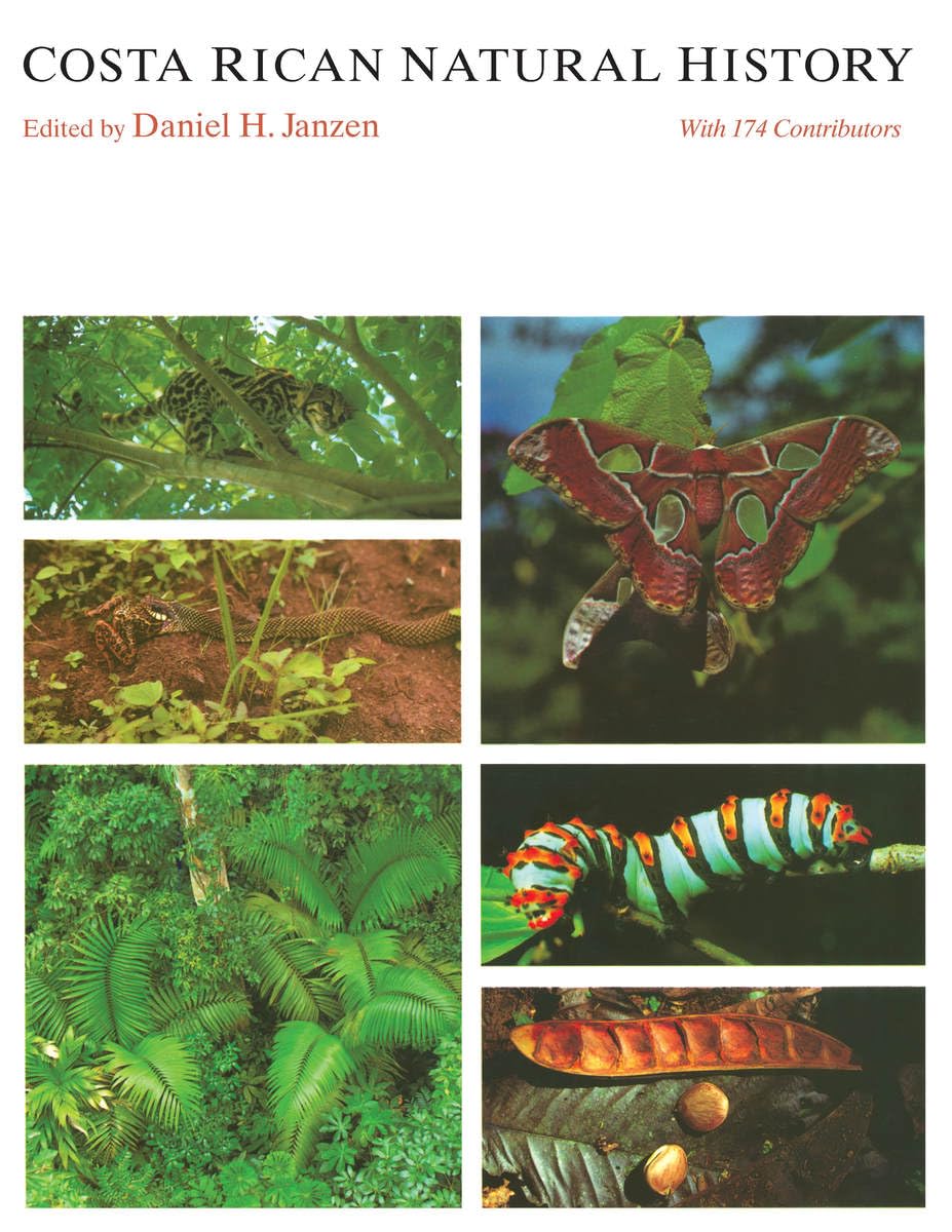 Costa Rican Natural History (Emersion: Emergent Village resources for communities of faith) Mathematics