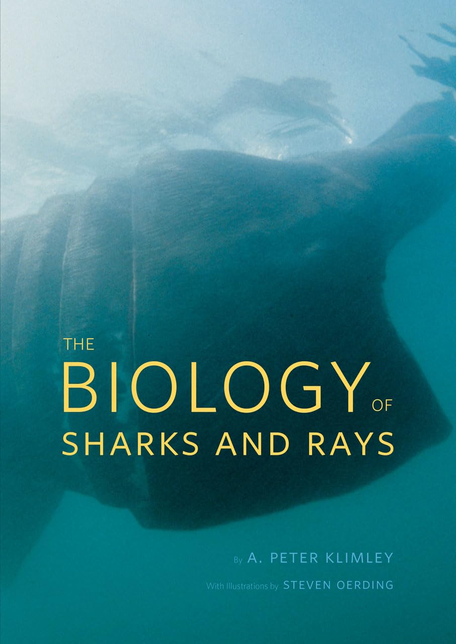 The Biology of Sharks and Rays (Emersion: Emergent Village resources for communities of faith) Mathematics