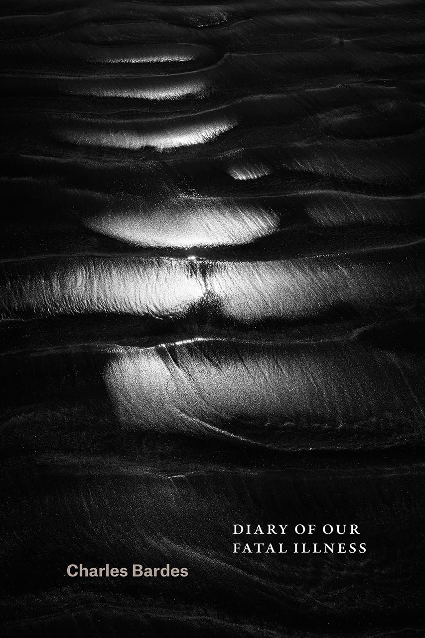 Diary of Our Fatal Illness book
