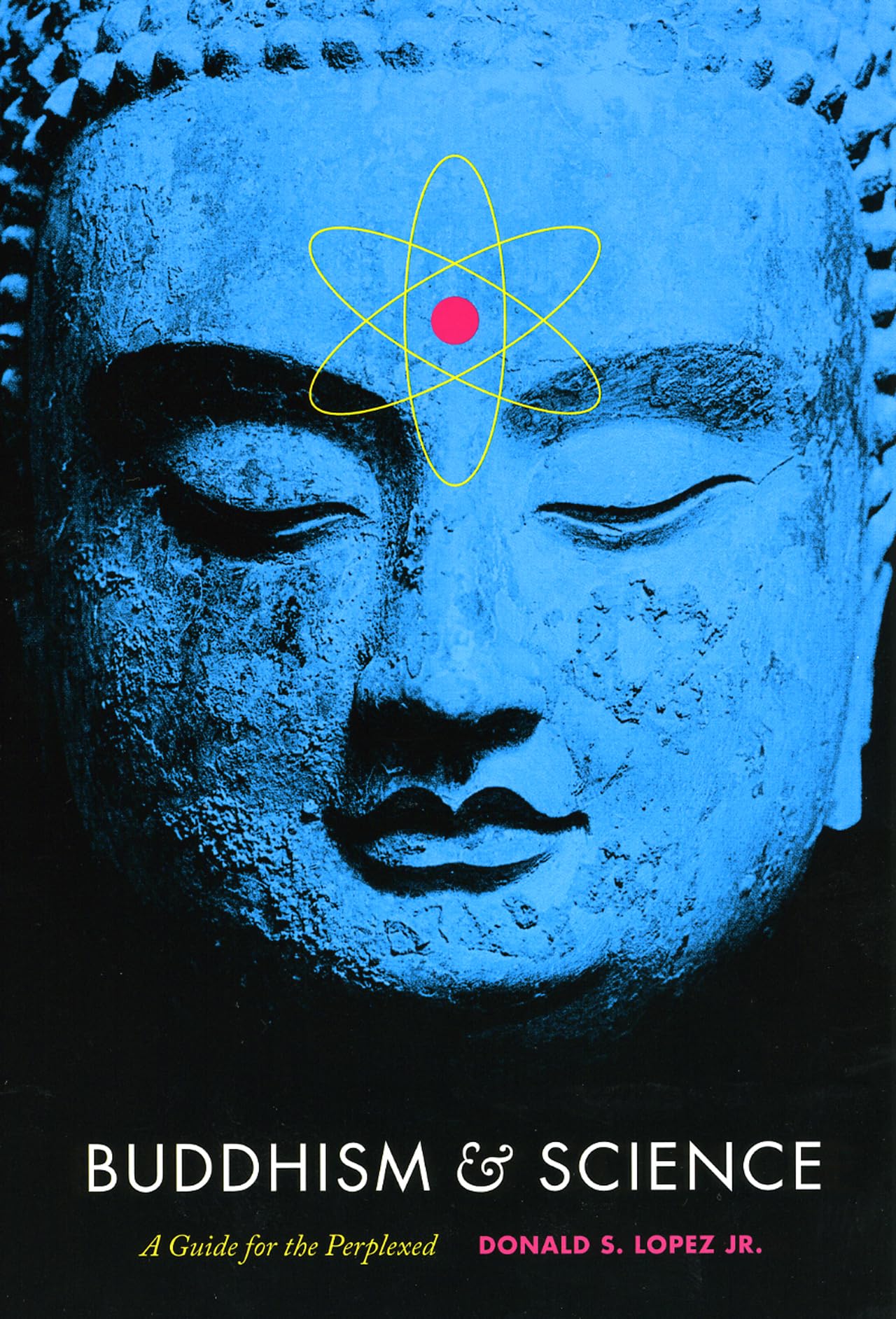 Buddhism and Science: A Guide for the Perplexed (Buddhism and Modernity) Film, Art & Culture