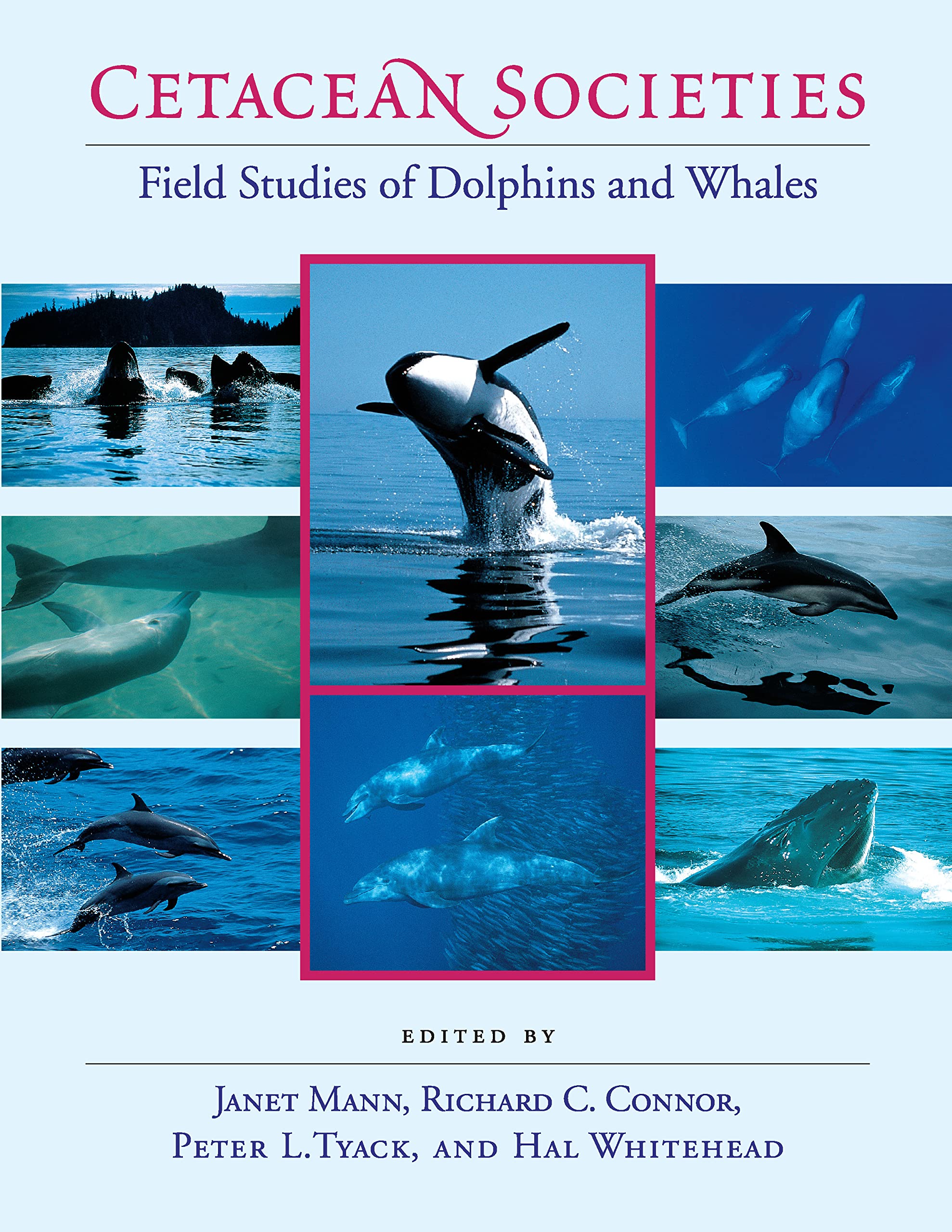 Cetacean Societies: Field Studies of Dolphins and Whales Business & Technology