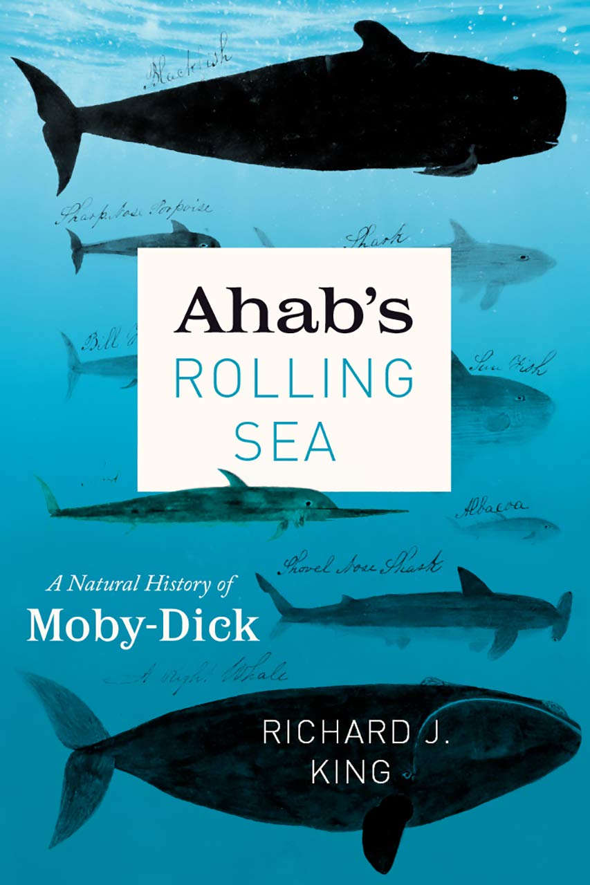 Product Image: Ahab's Rolling Sea