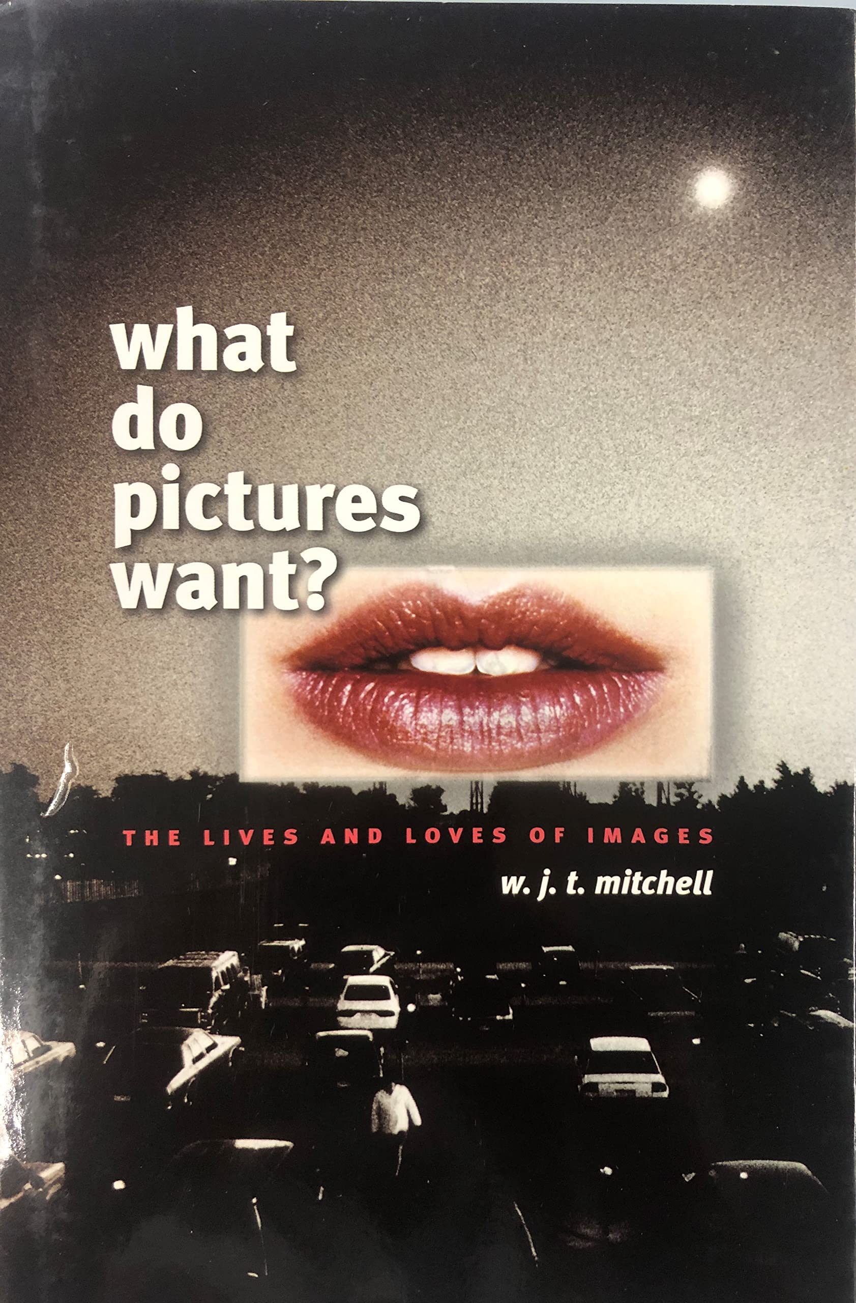 What Do Pictures Want?: The Lives and Loves of Images Film, Art & Culture