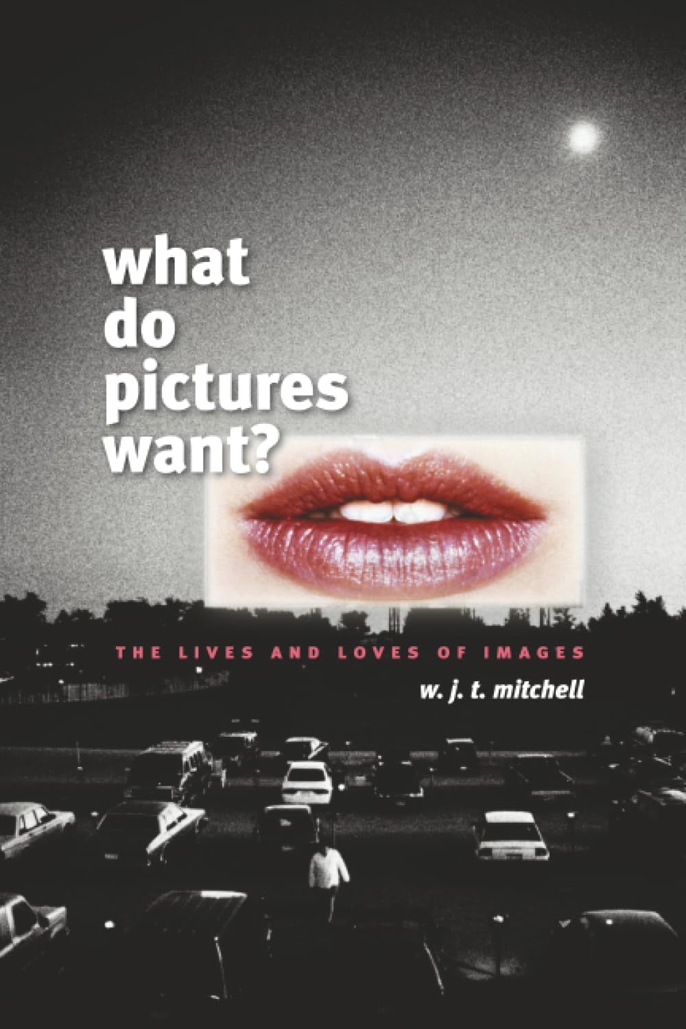 What Do Pictures Want? Contemporary literature