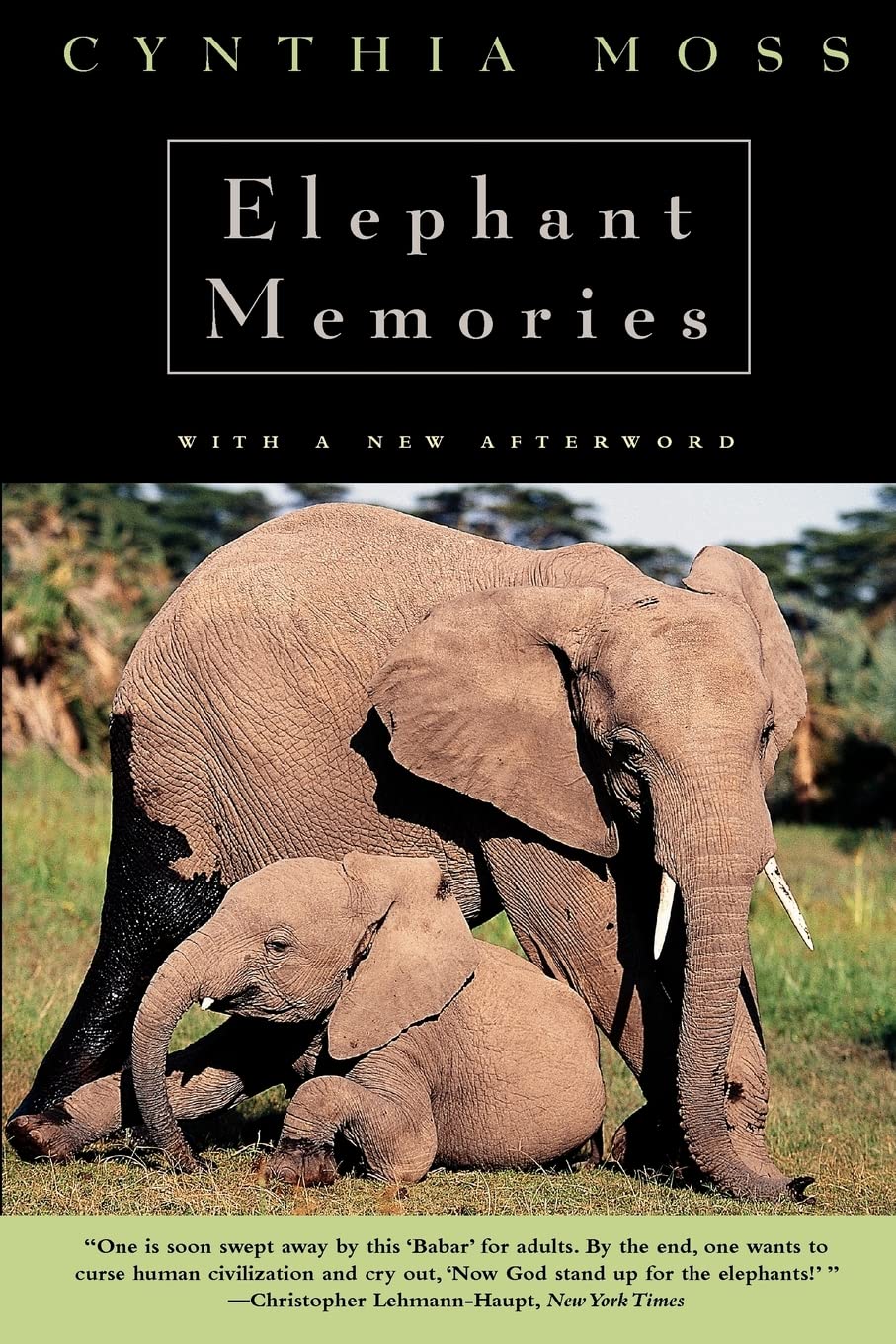 Elephant Memories: Thirteen Years in the Life of an Elephant Family Mathematics