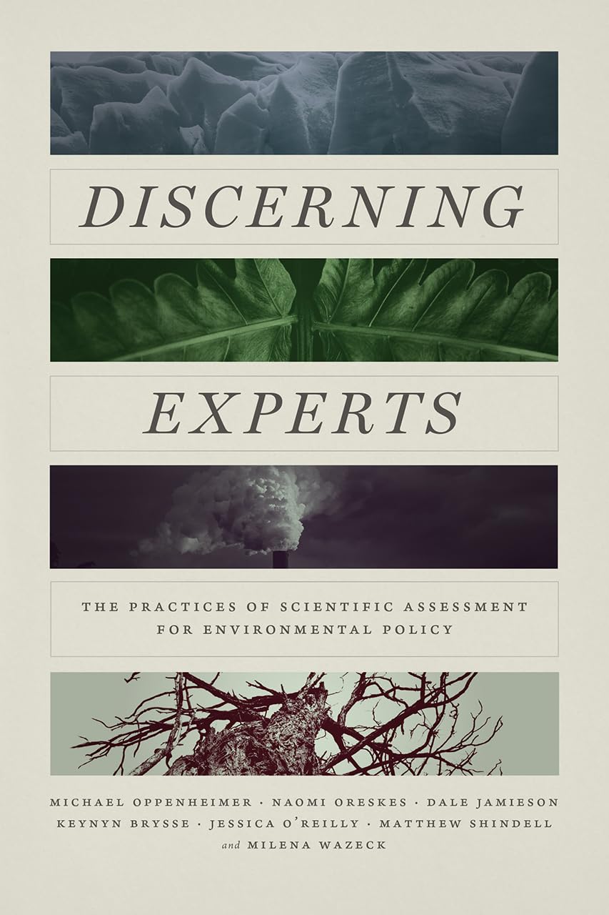 Discerning Experts Mathematics