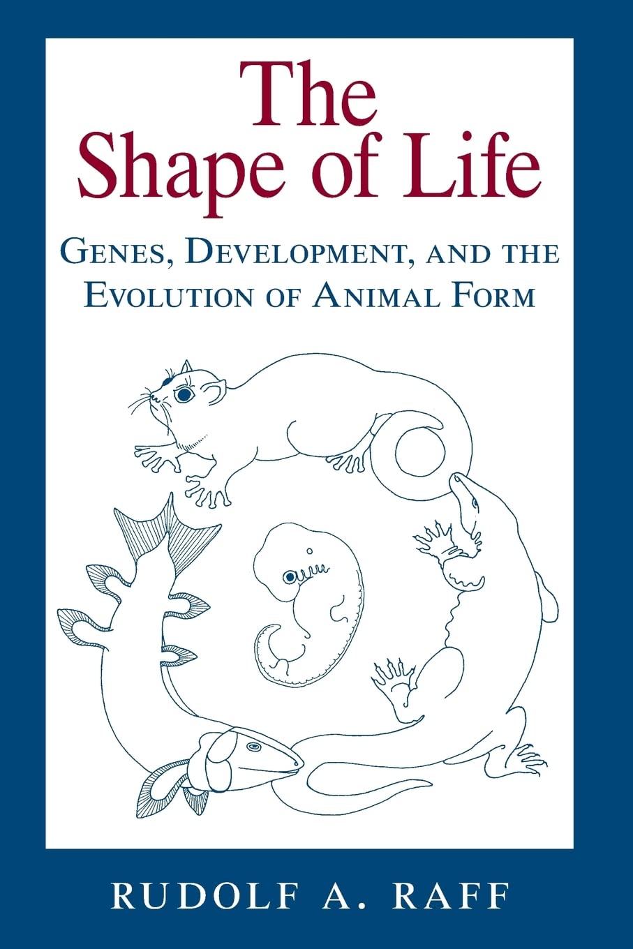 The Shape of Life: Genes, Development, and the Evolution of Animal Form Business & Technology