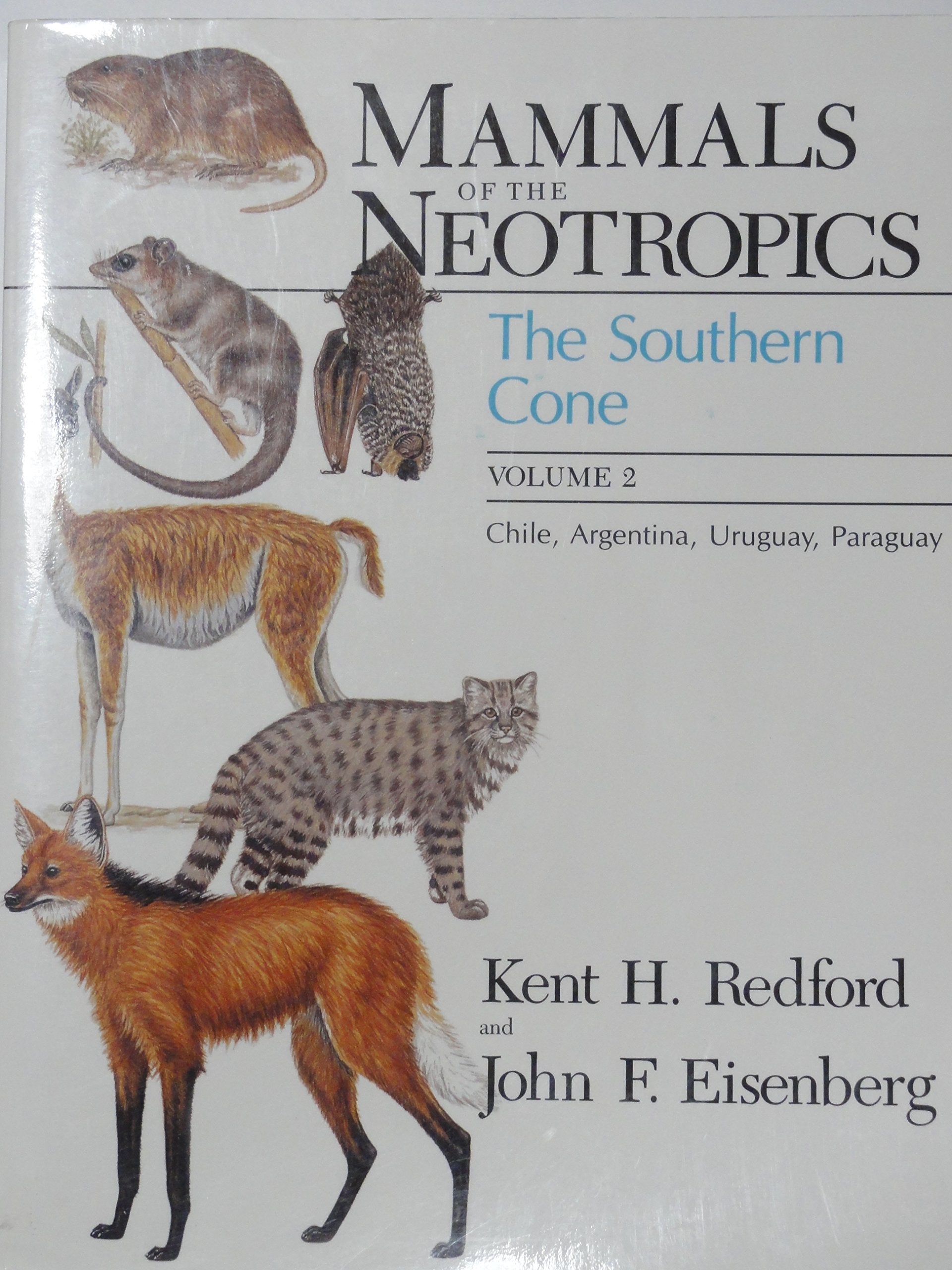 Mammals of the Neotropics Mathematics
