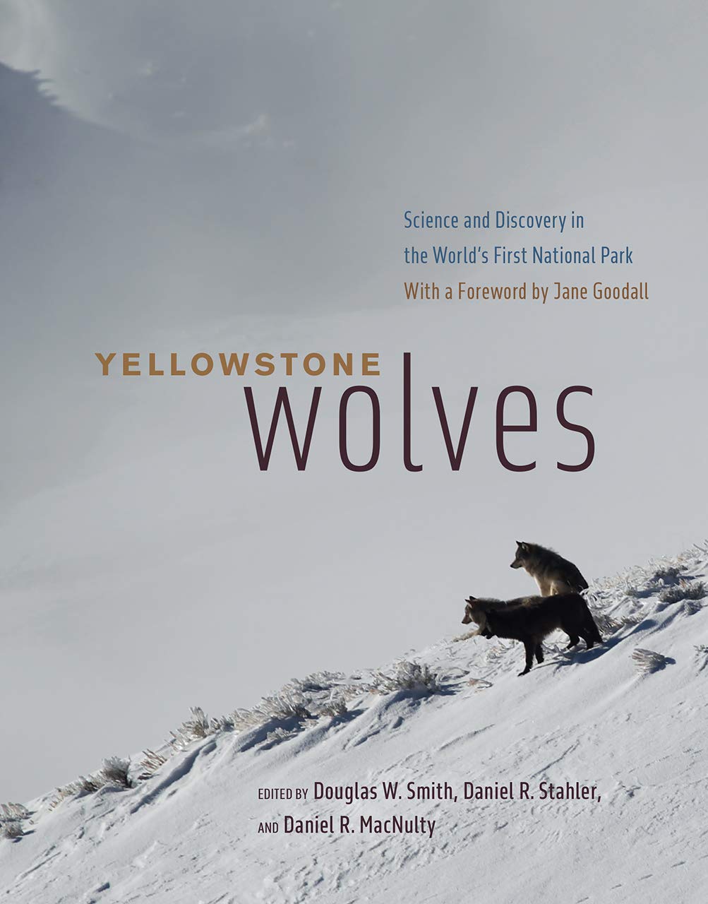 Yellowstone Wolves: Science and Discovery in the World's First National Park Mathematics