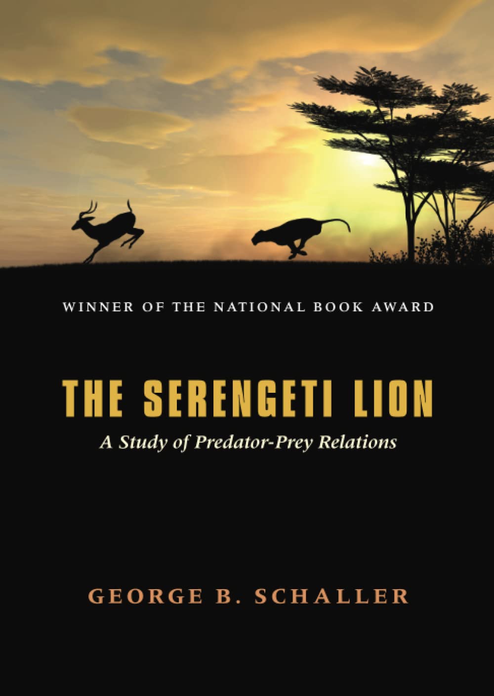 The Serengeti Lion - A Study of Predator-Prey Relations Mathematics