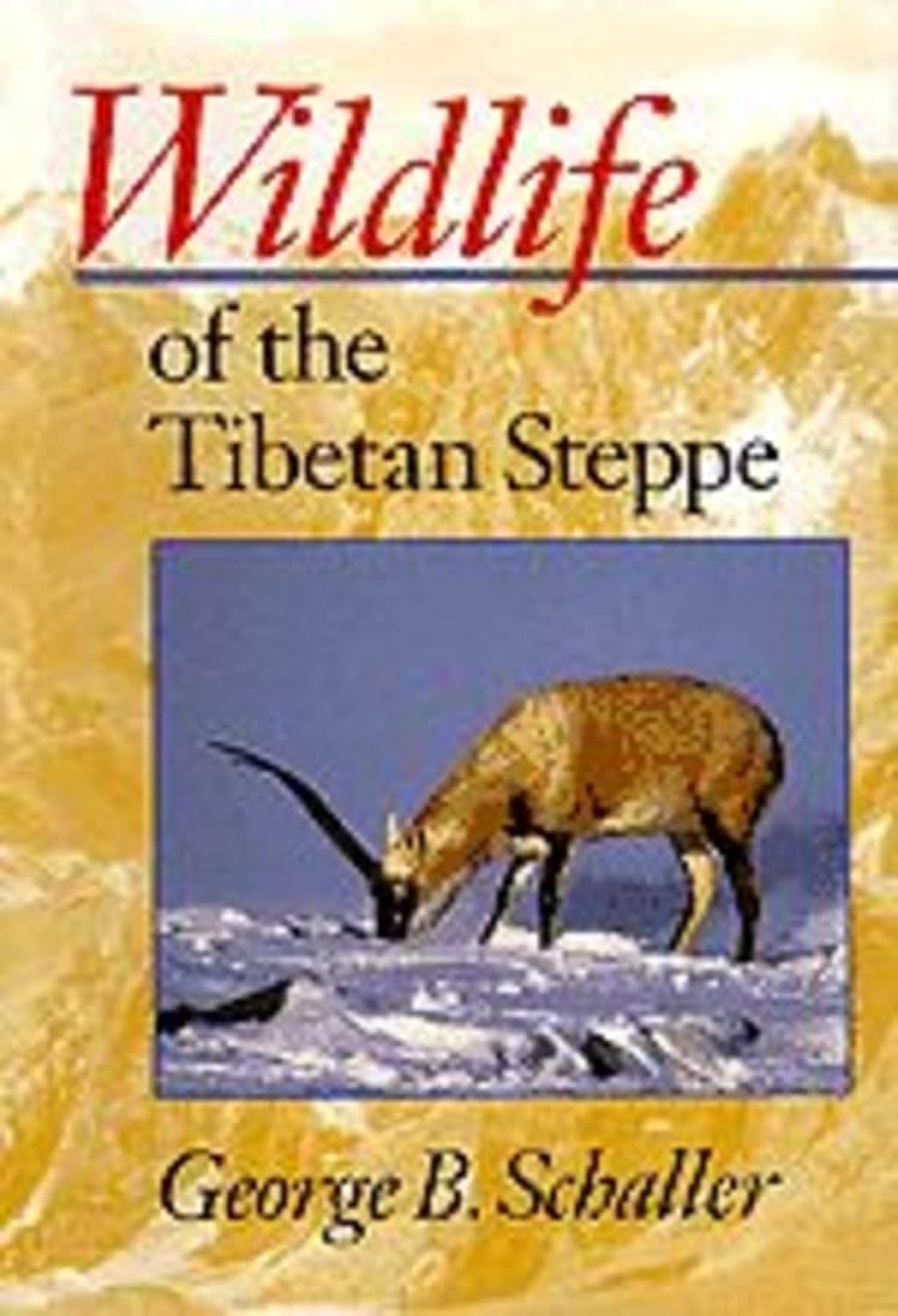 Wildlife of the Tibetan Steppe Mathematics