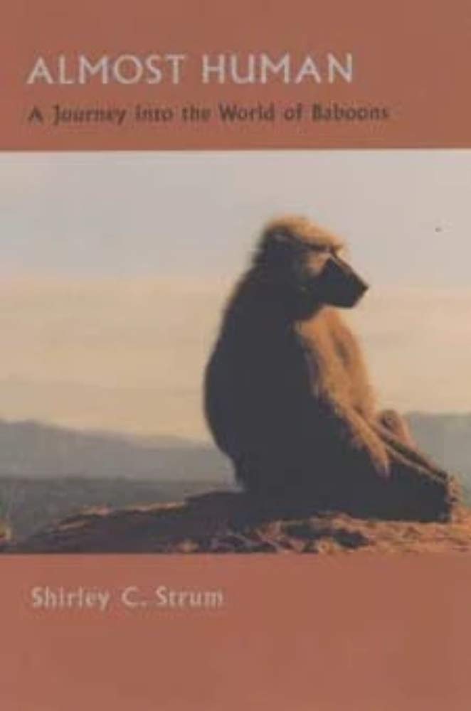 Almost Human: A Journey Into the World of Baboons Mathematics