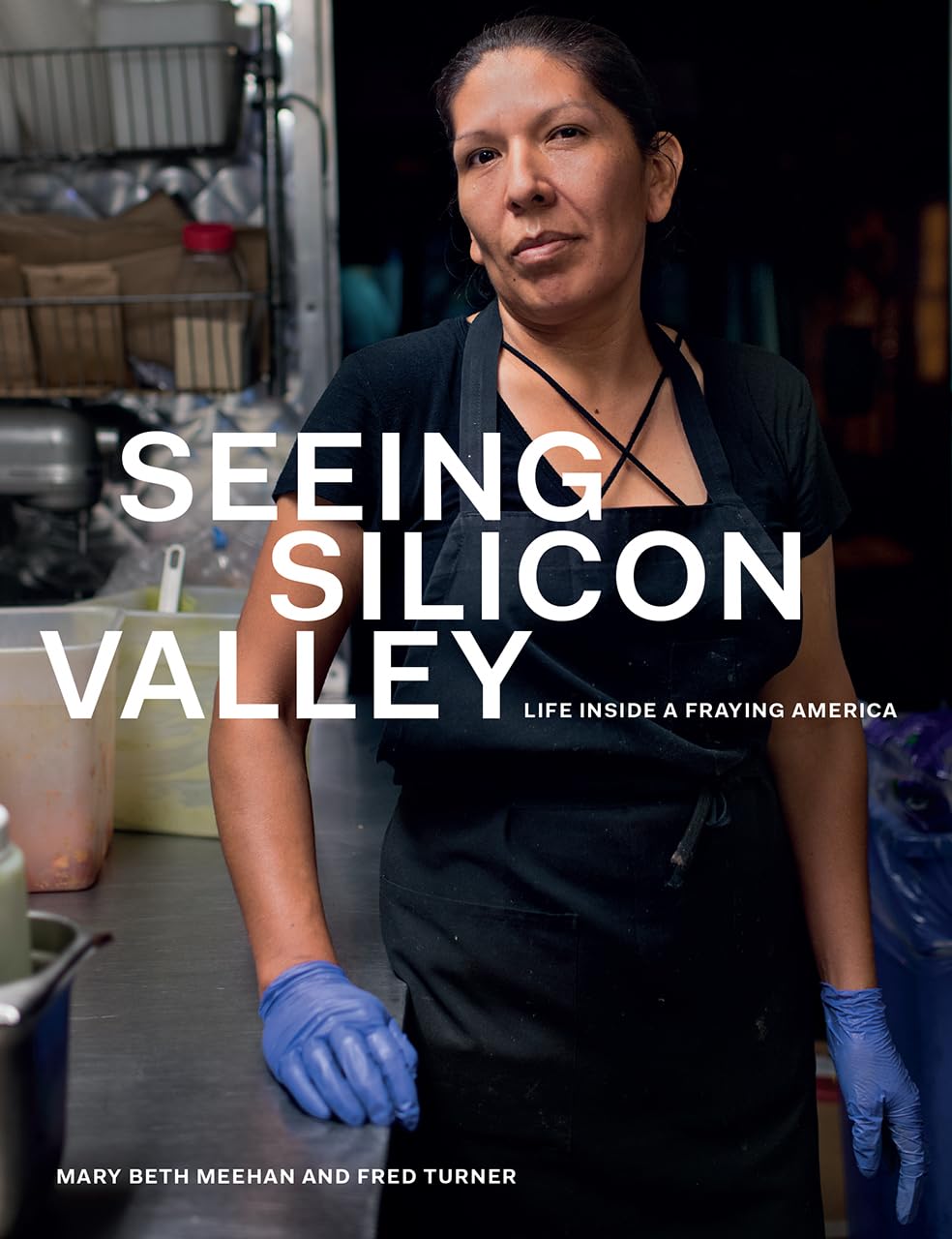 Seeing Silicon Valley: Life Inside a Fraying America Books