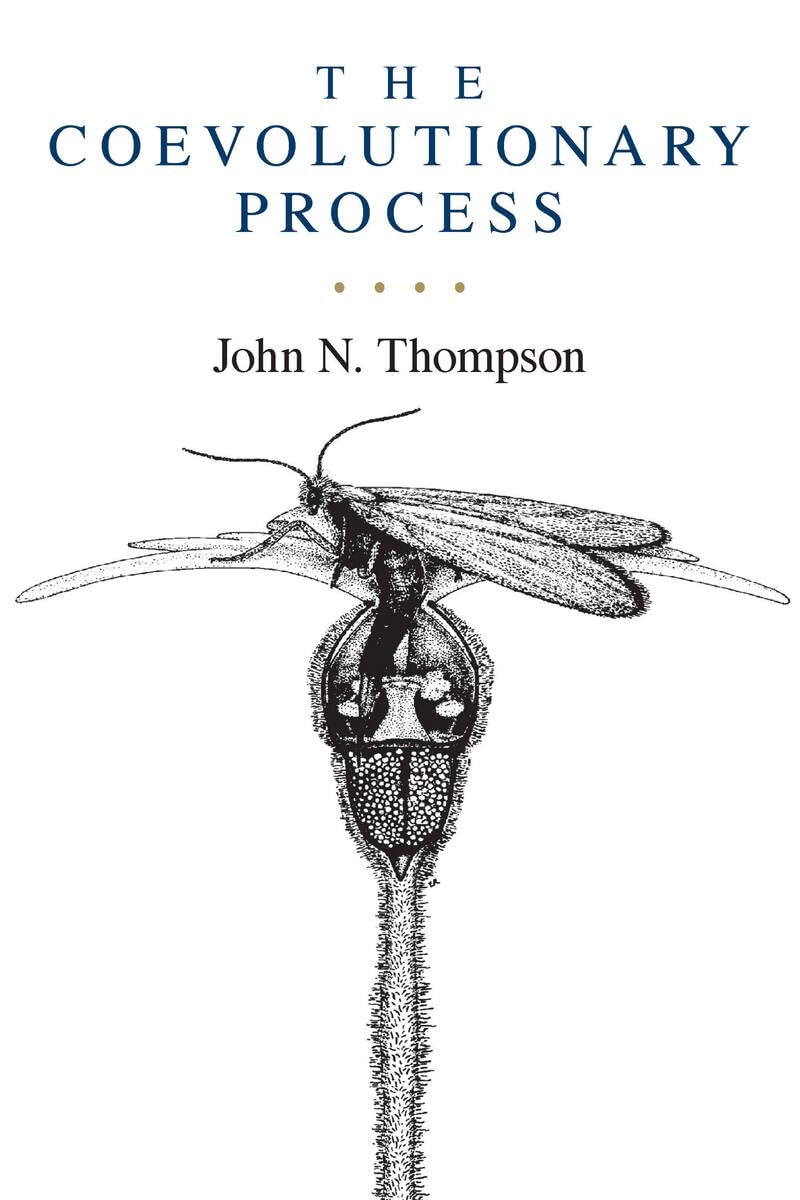 The Coevolutionary Process Mathematics