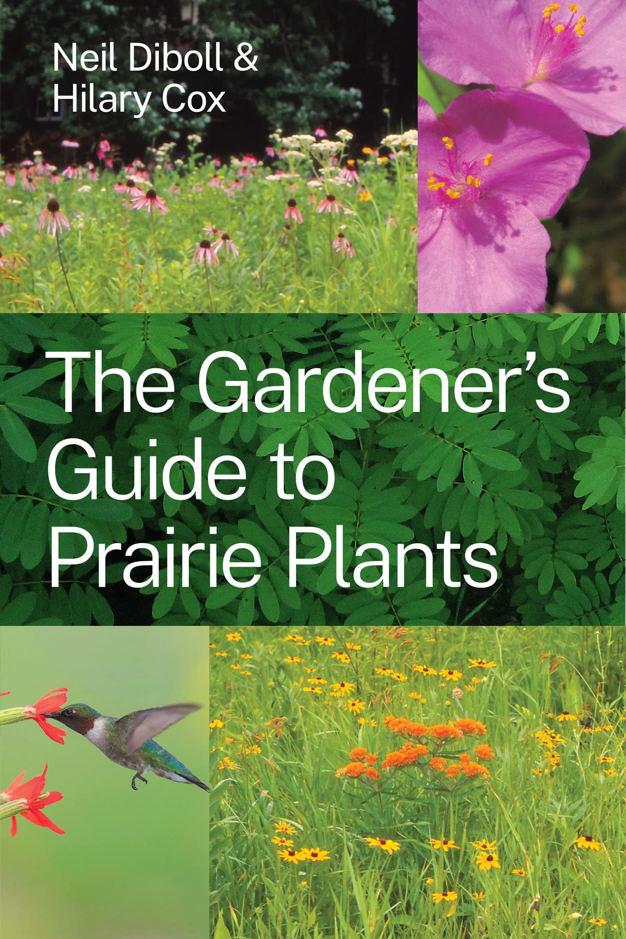 The Gardener's Guide to Prairie Plants Mathematics