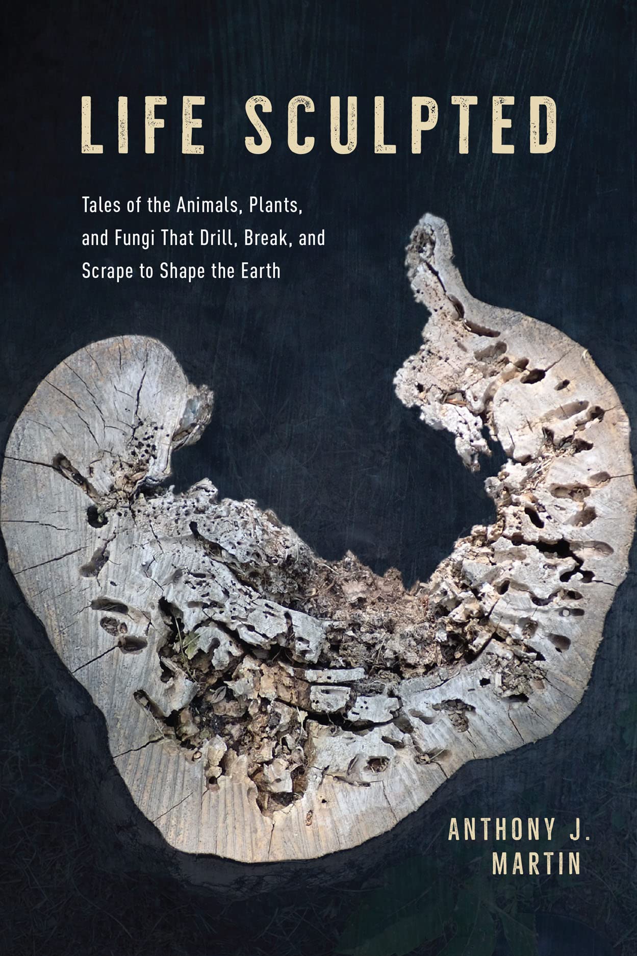 Life Sculpted: Tales of the Animals, Plants, and Fungi That Drill, Break, and Scrape to Shape the Earth book