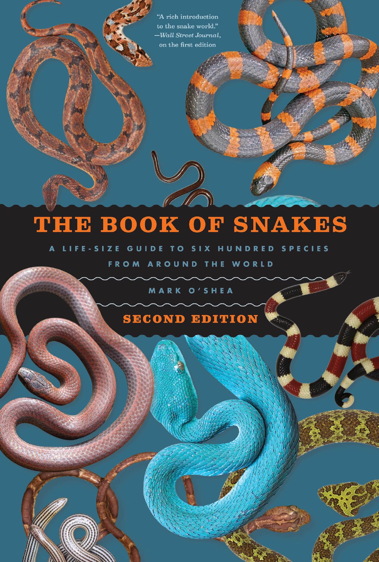 The Book of Snakes Mathematics