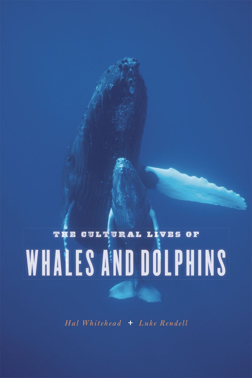 The Cultural Lives of Whales and Dolphins Natural Sciences