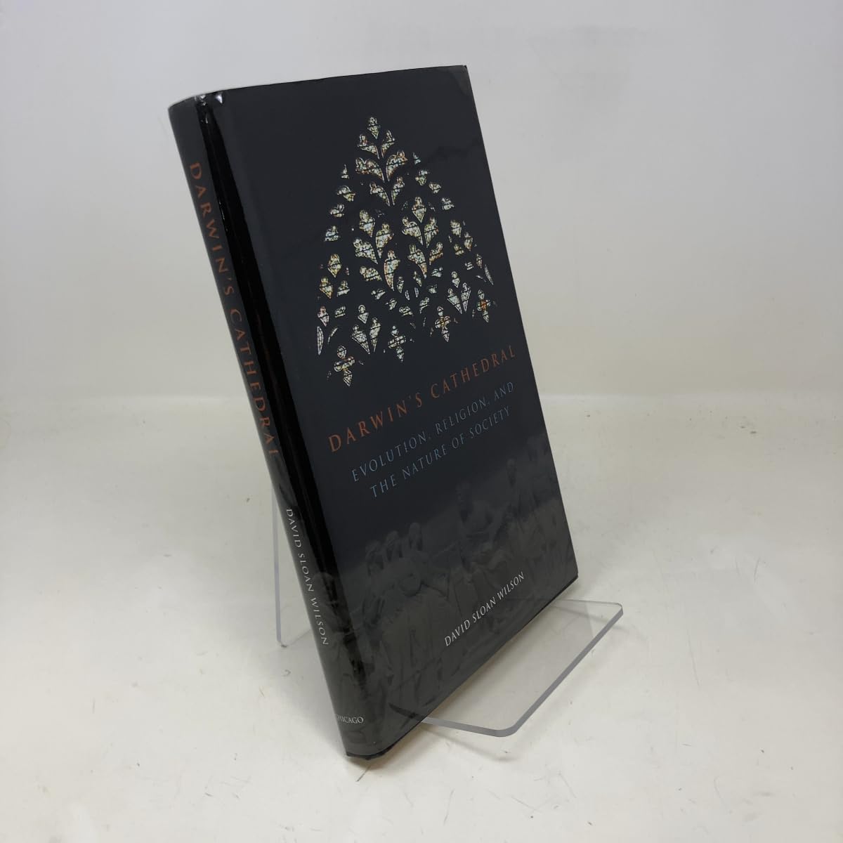 Darwin's Cathedral: Evolution, Religion, and the Nature of Society Philosophy
