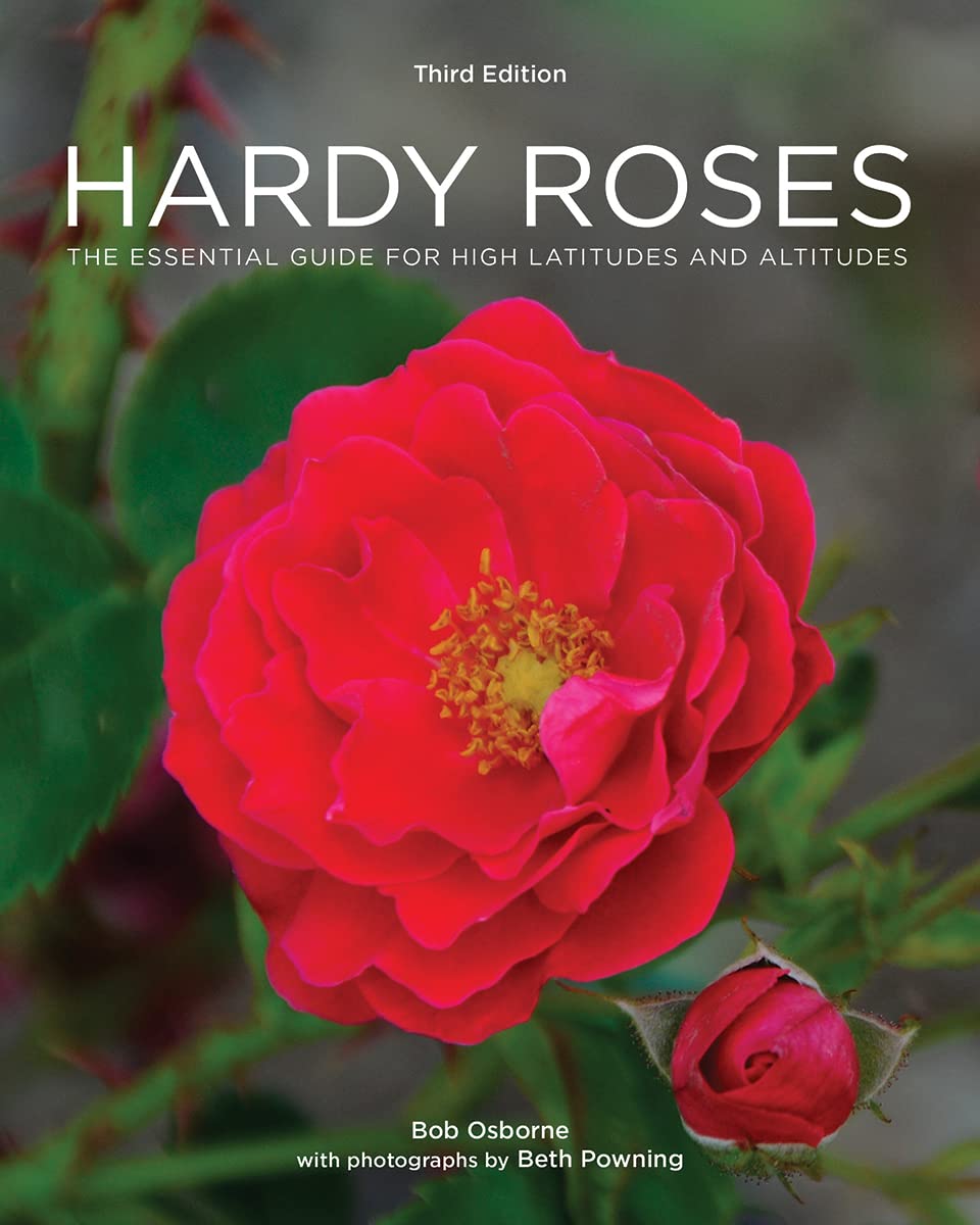 Hardy Roses: The Essential Guide for High Latitudes and Altitudes Garden & Plants