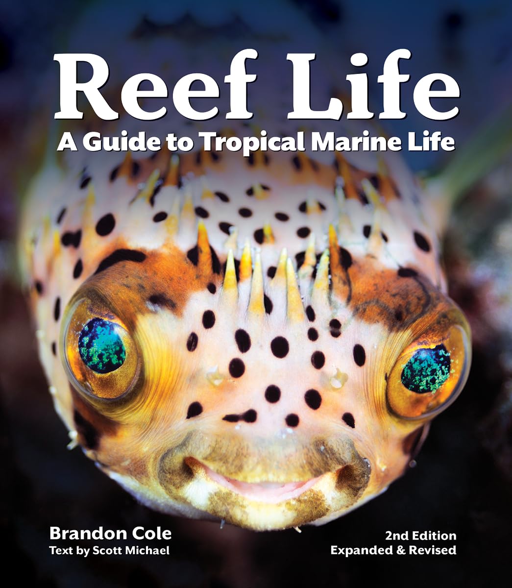 Reef Life: A Guide to Tropical Marine Life Geology & Geography