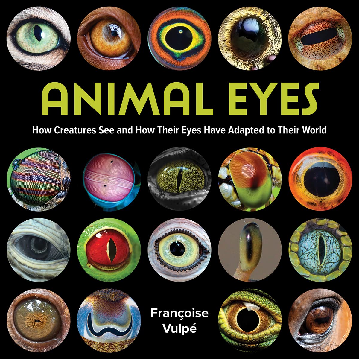 Animal Eyes: How Creatures See and How Their Eyes Have Adapted to Their World Medicine