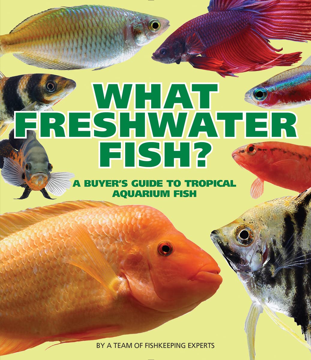 What Freshwater Fish? Books about Pets