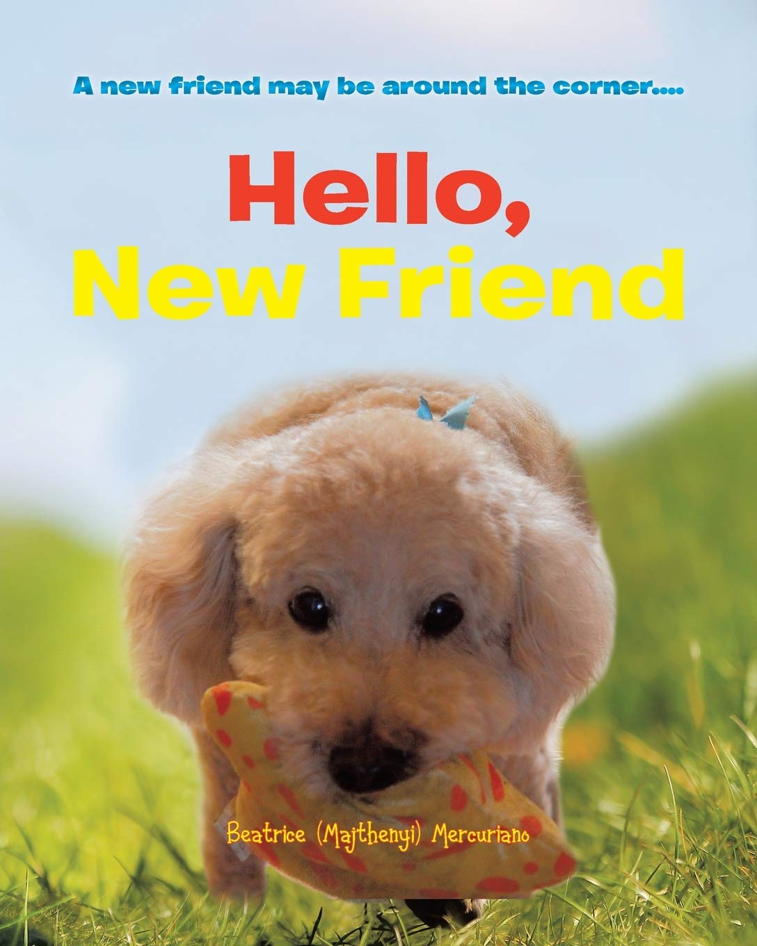 Product Image: Hello, New Friend