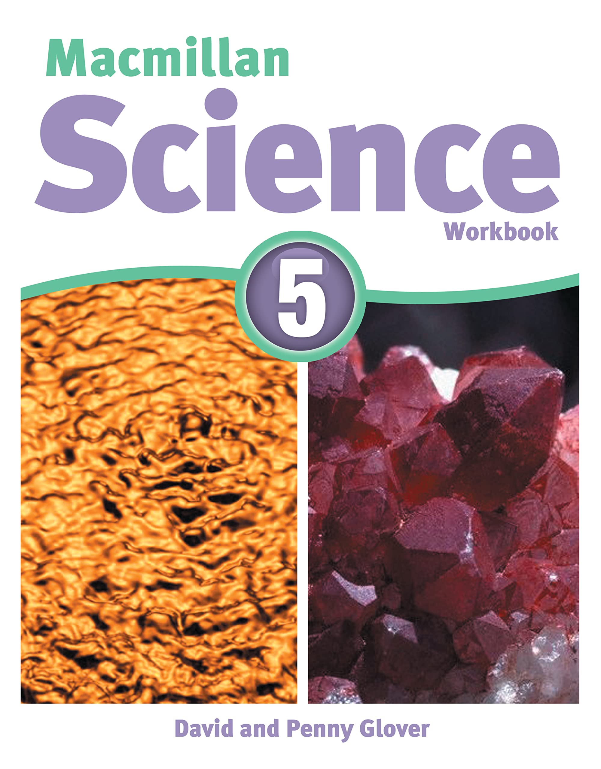 Macmillan Science Level 5 Workbook Foreign Languages ​​& Dictionaries