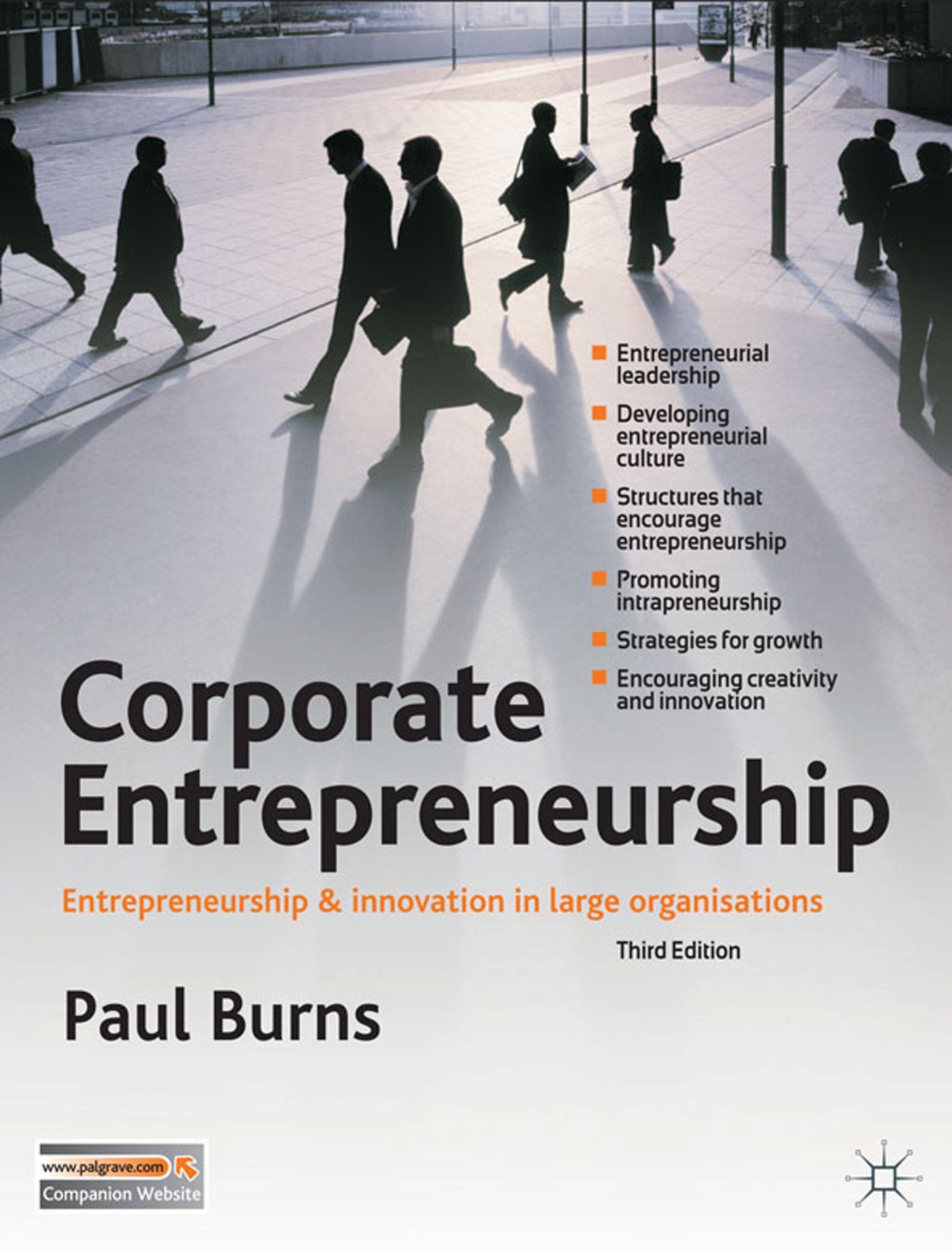 Corporate Entrepreneurship: Innovation and Strategy in Large Organizations book