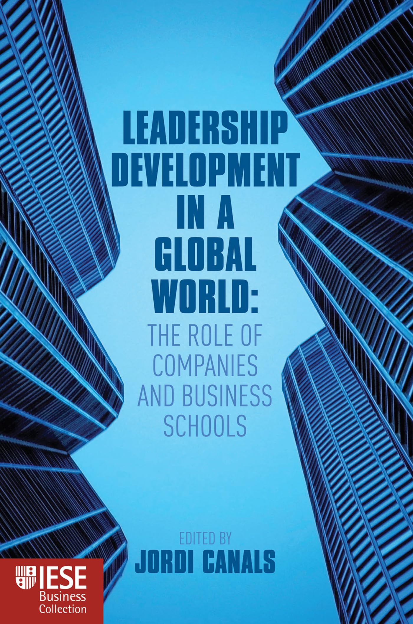 Product Image: Leadership Development in a Global World