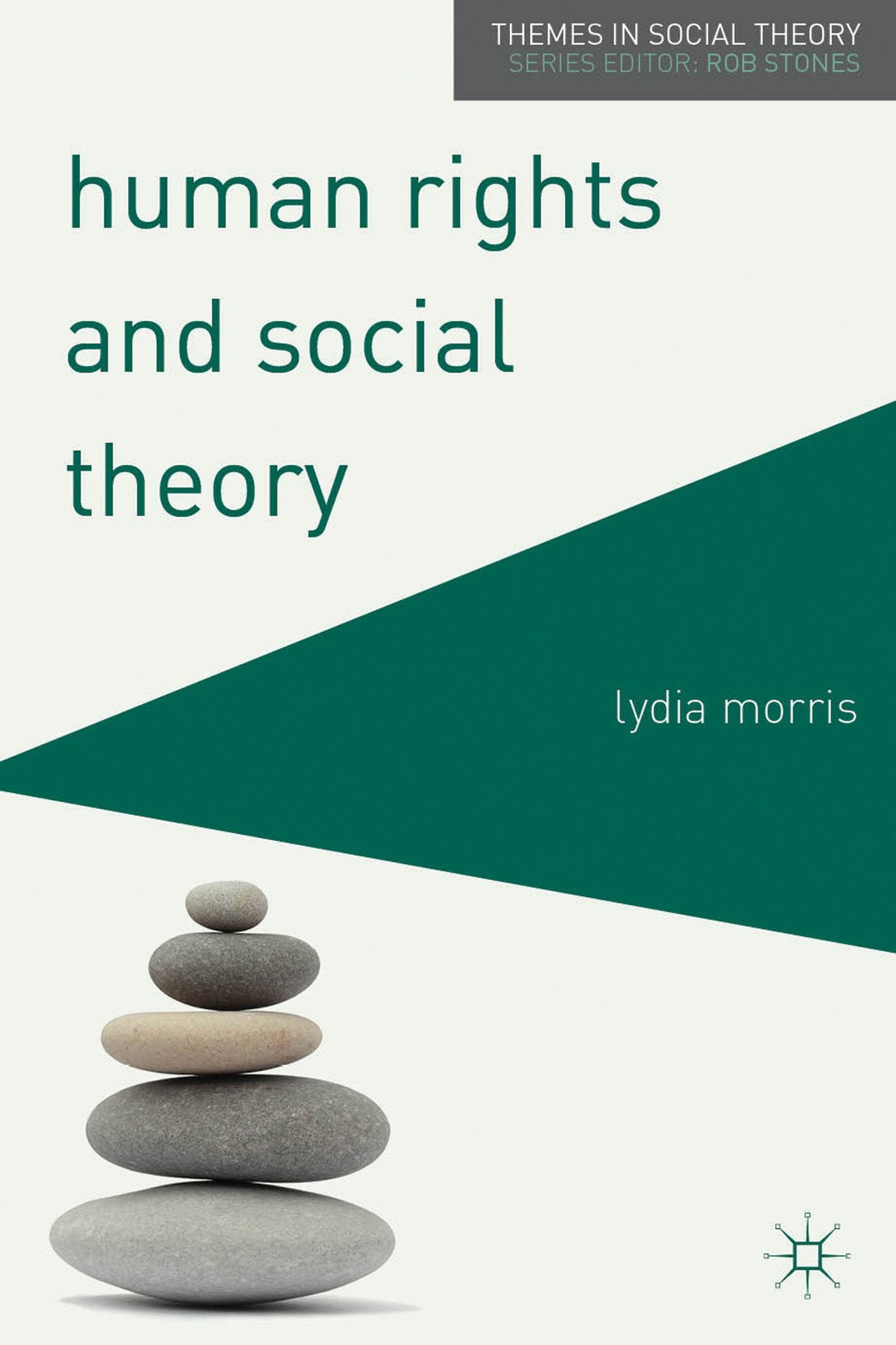 Product Image: Human Rights and Social Theory