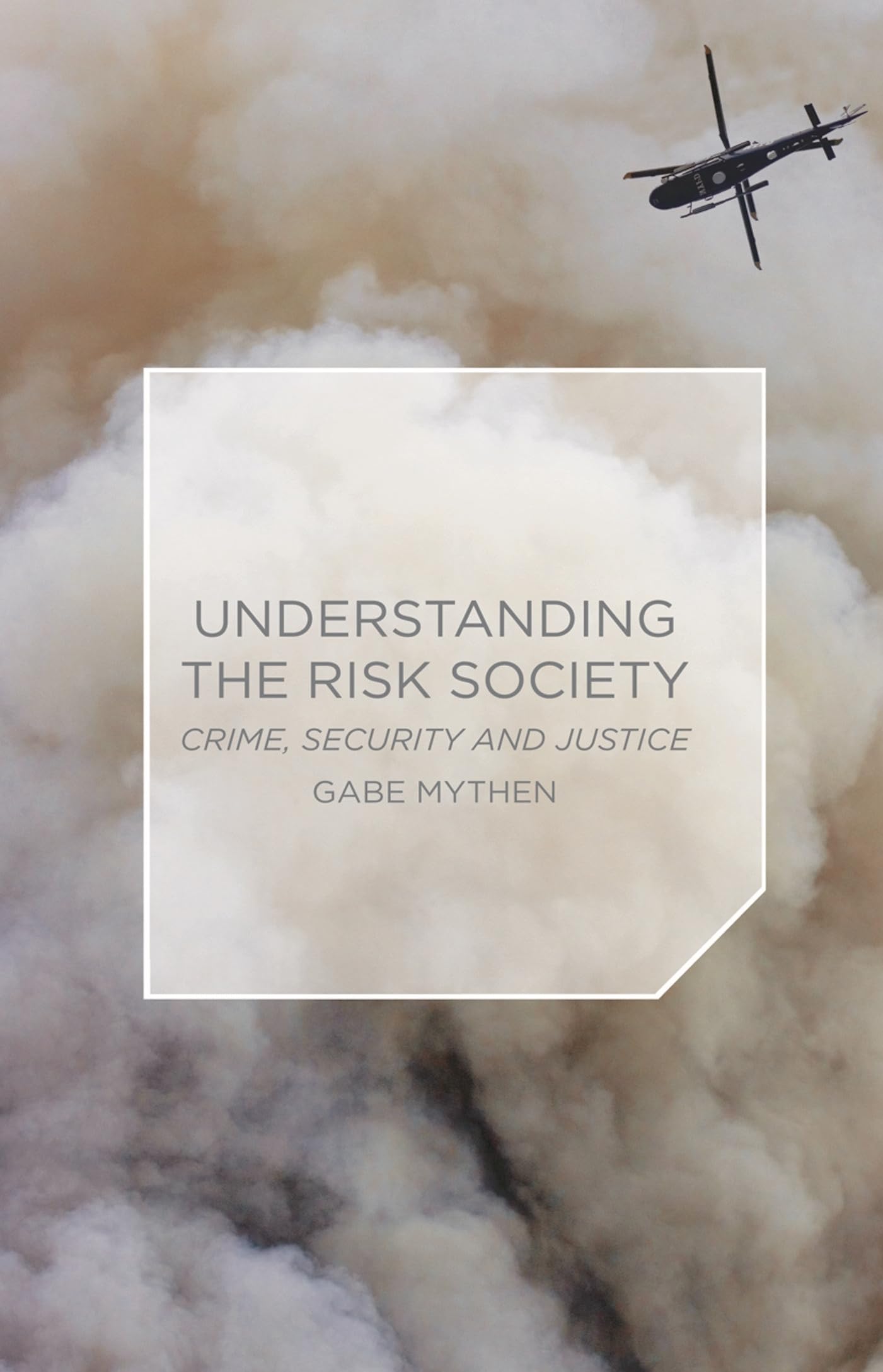 Product Image: Understanding the Risk Society