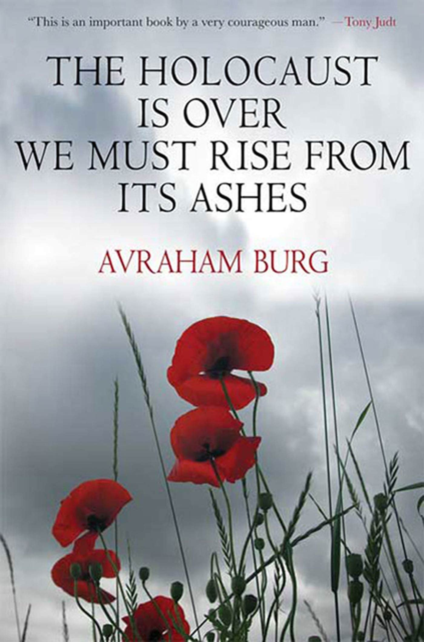 The Holocaust Is Over; We Must Rise from Its Ashes book