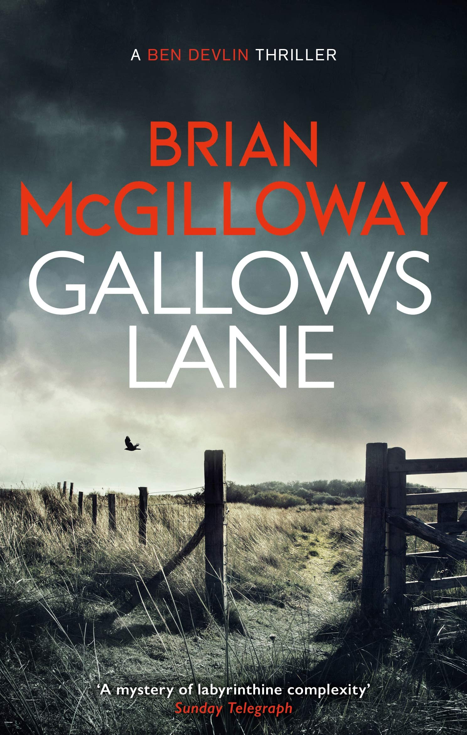 Gallows Lane: An Inspector Devlin Novel 2 Action & Adventure