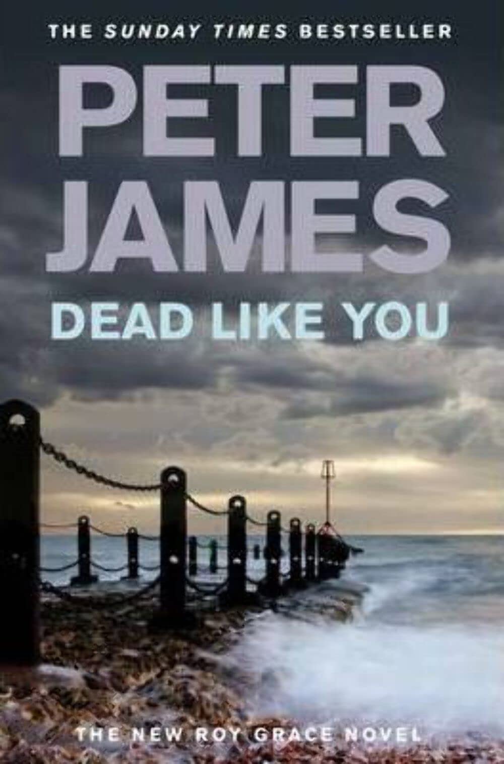 Dead Like You: The New Roy Grace Novel Contemporary literature