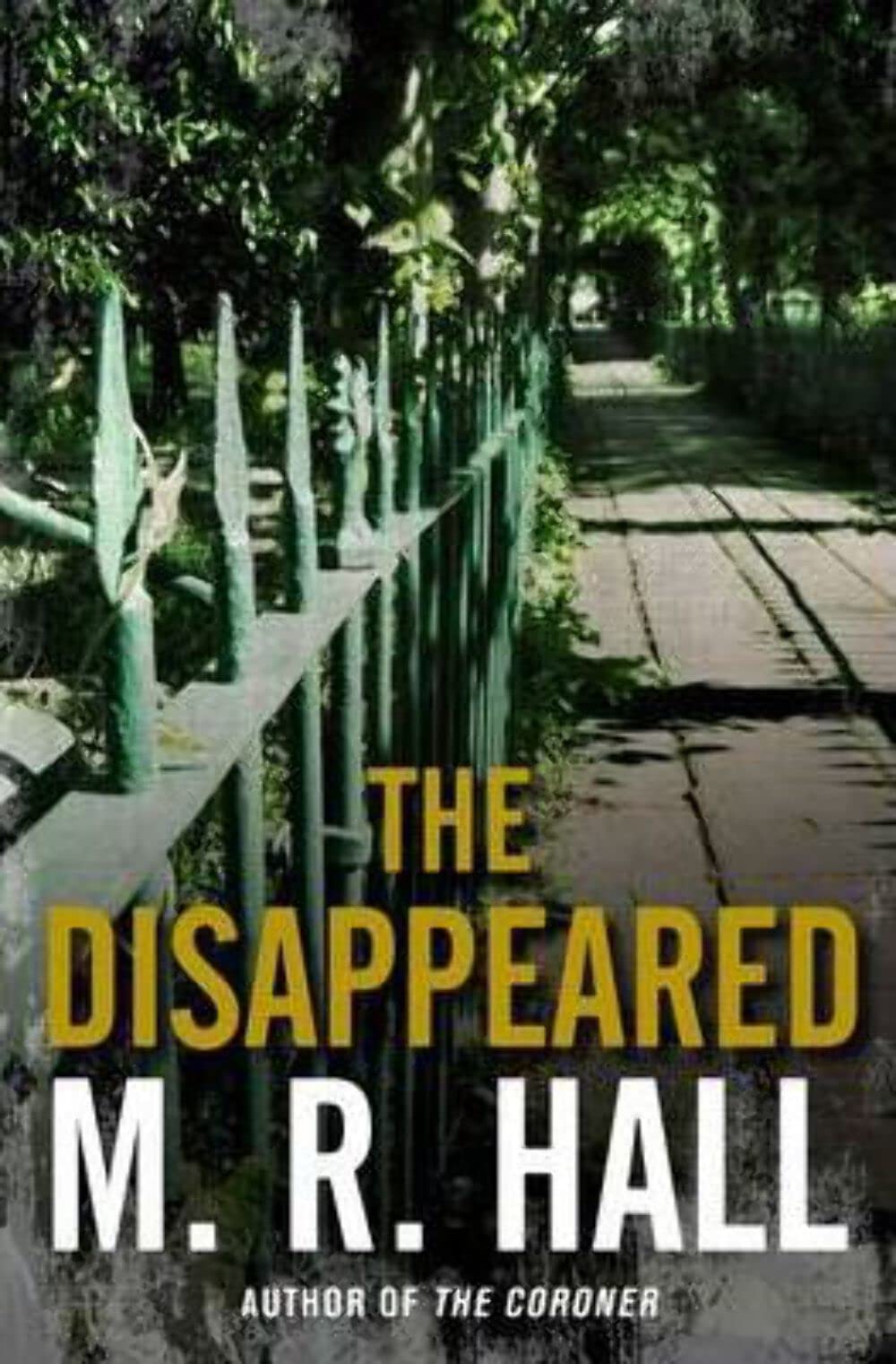 The Disappeared (Coroner Jenny Cooper series) Contemporary literature