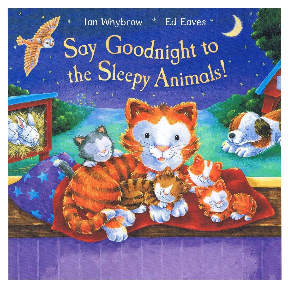 Say Goodnight to the Sleepy Animals! book