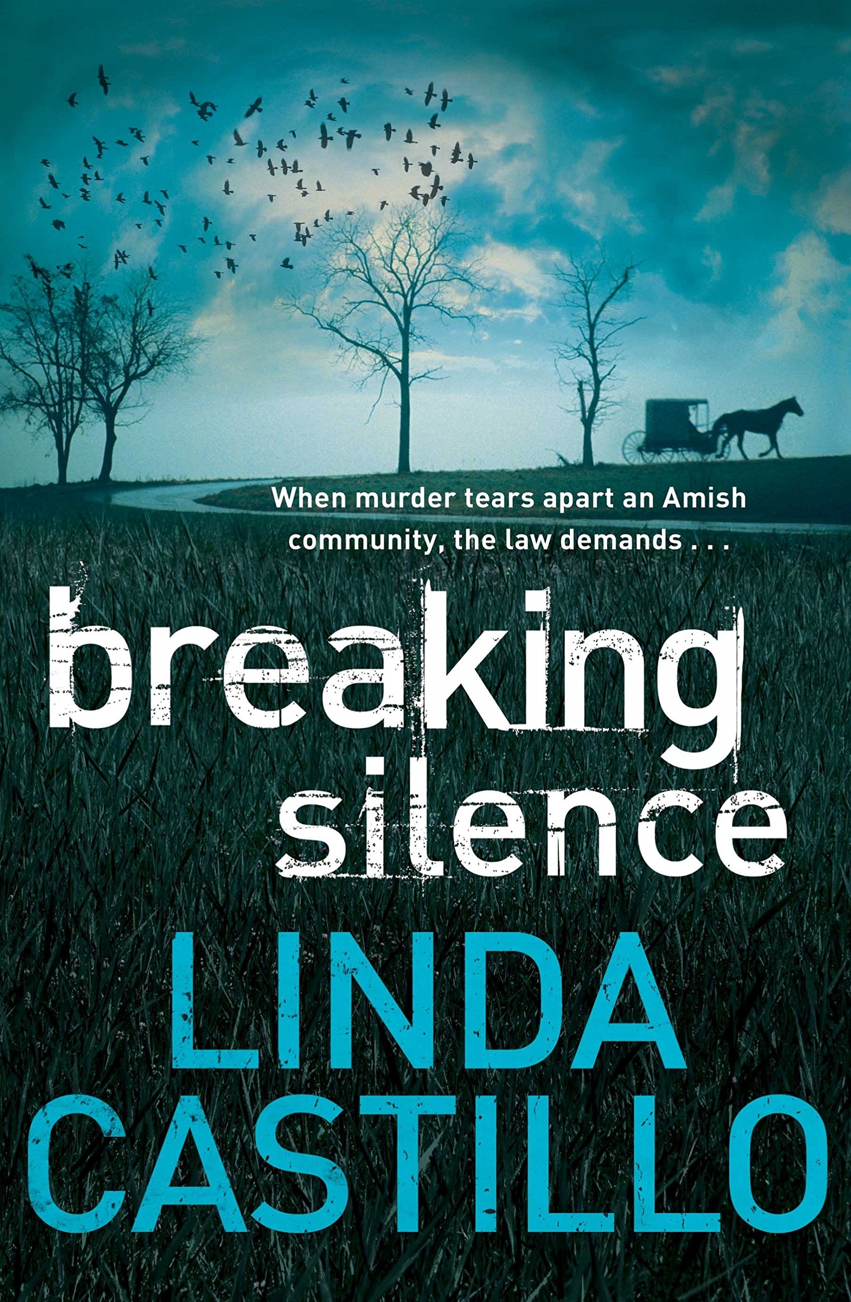 Breaking Silence: Sometimes even the Amish keep secrets . . . Contemporary literature Books