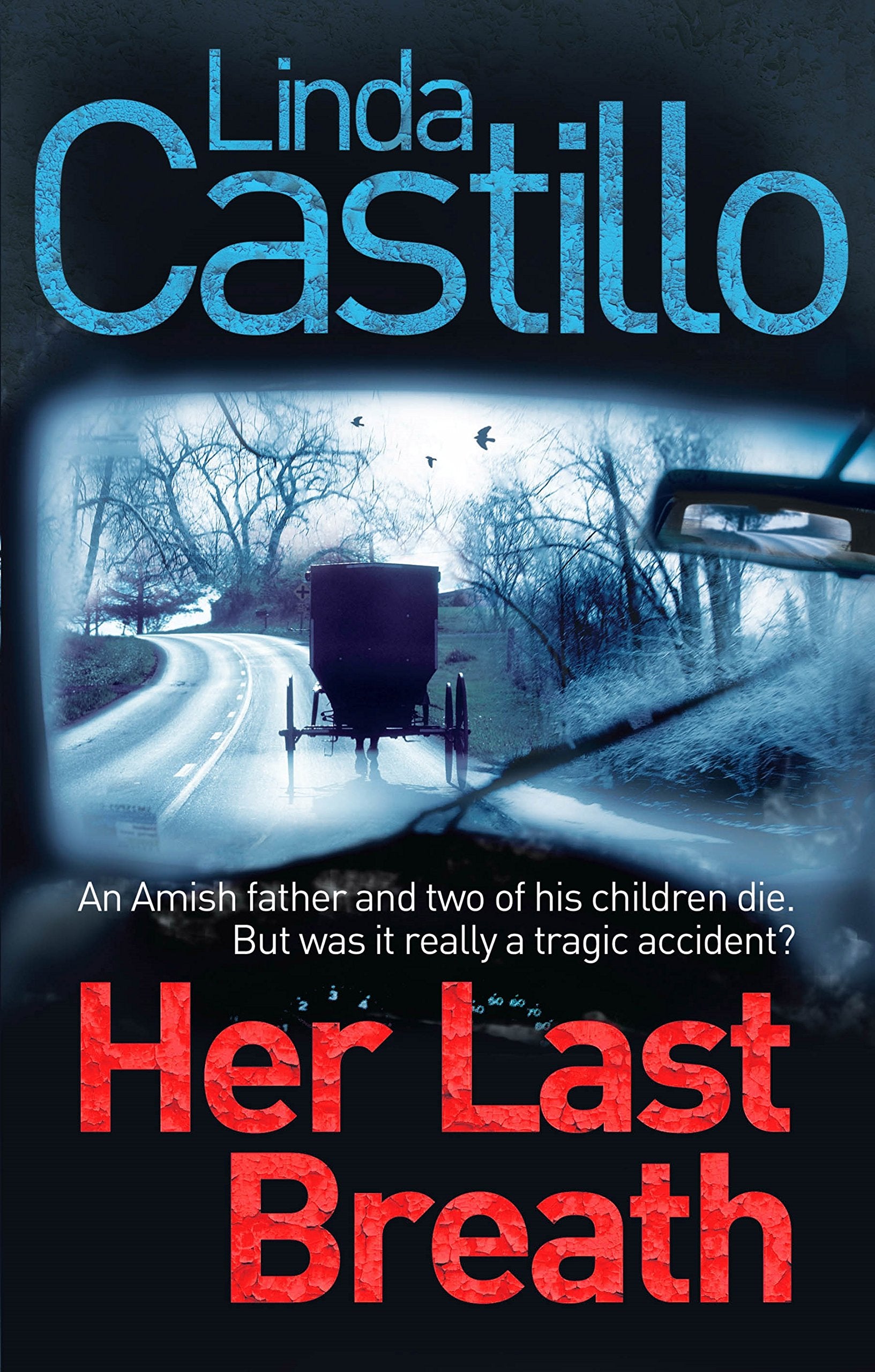 Her Last Breath (Kate Burkholder series, 5) Contemporary literature