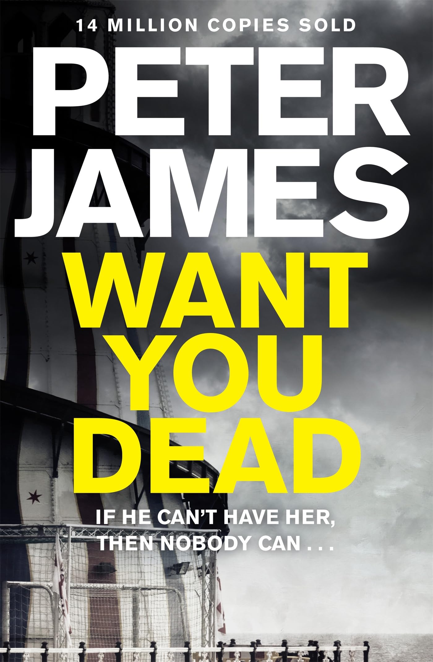 Want You Dead: A Lifetime to Take Revenge (Roy Grace) Contemporary literature