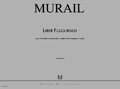 Liber fulguralis --- ensemble instrumental, synthese electronique et video book