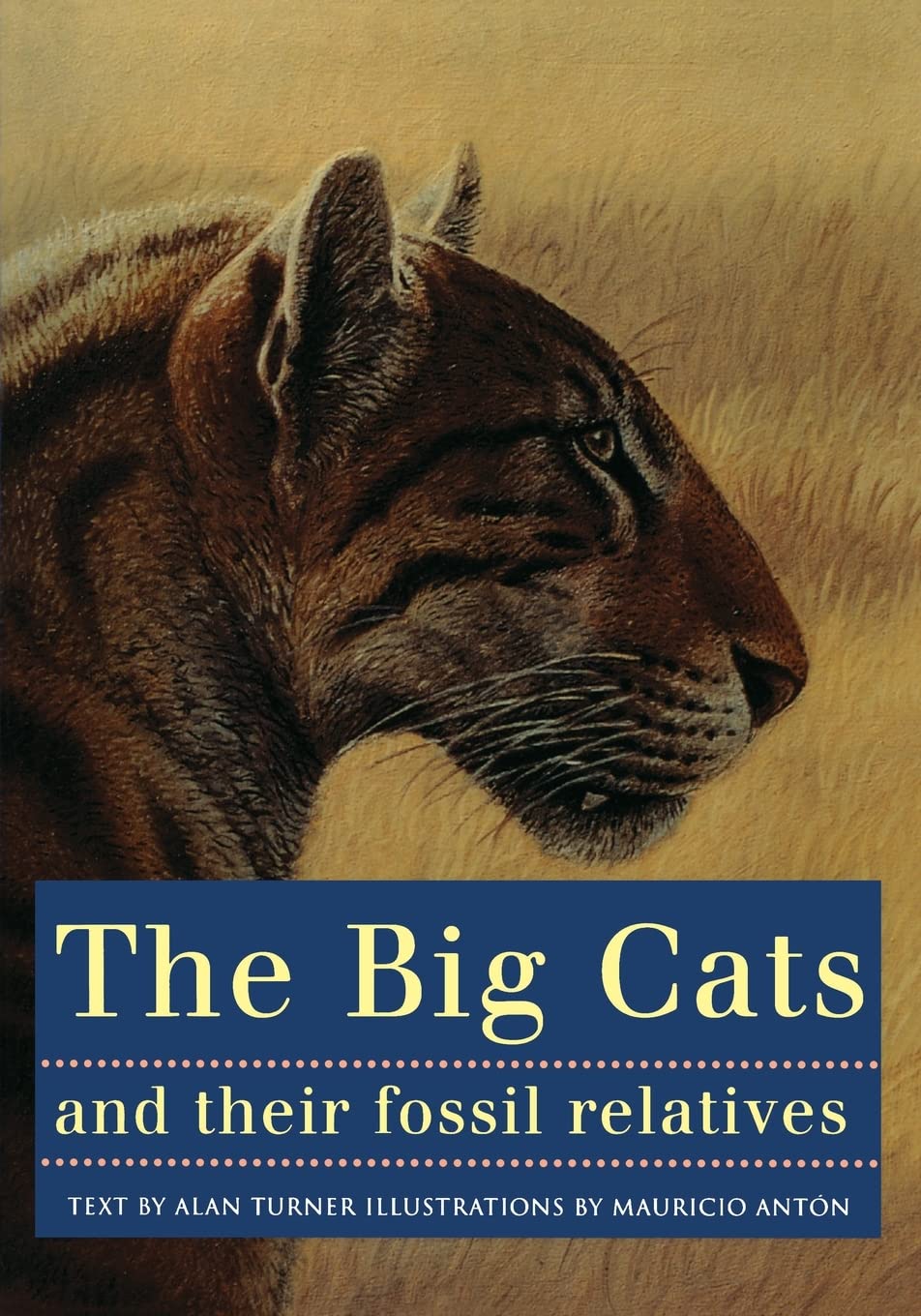 The Big Cats and Their Fossil Relatives Mathematics