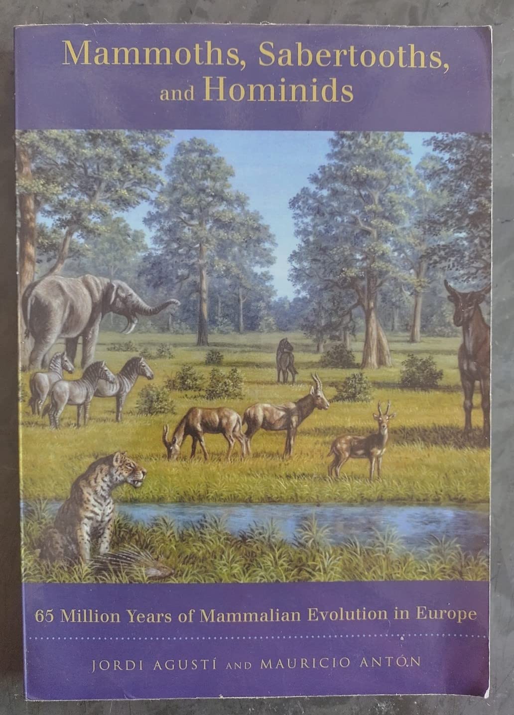 Mammoths, Sabertooths, And Hominids: 65 Million Years of Mammalian Evolution in Europe Mathematics