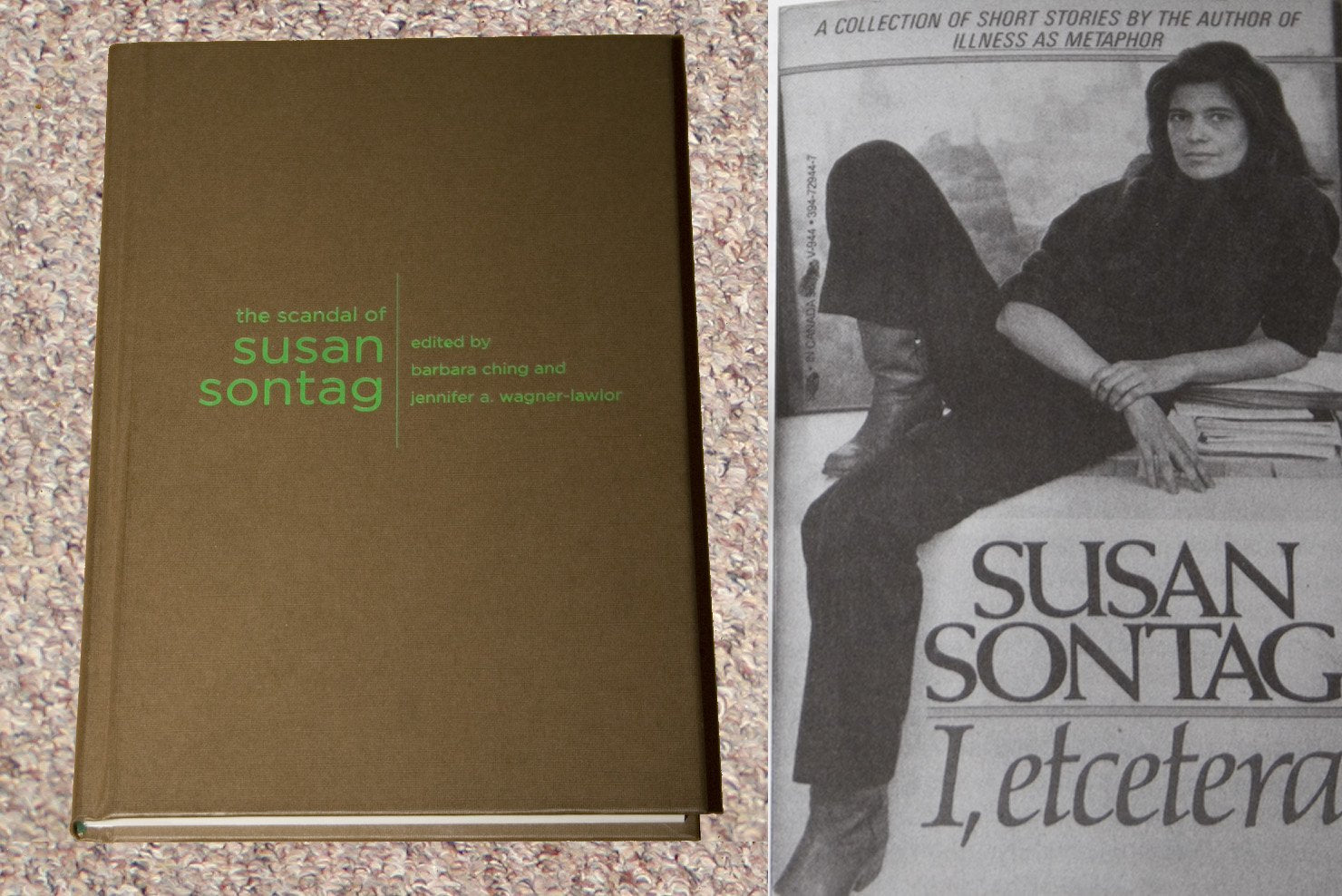 The Scandal of Susan Sontag (Gender and Culture) Social Sciences